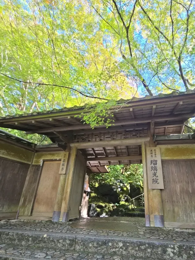 秋の京都ひとり旅・中編 ～瑠璃光院から詩仙堂へ〜わずかな時間も特別な京都の午後_1_4
