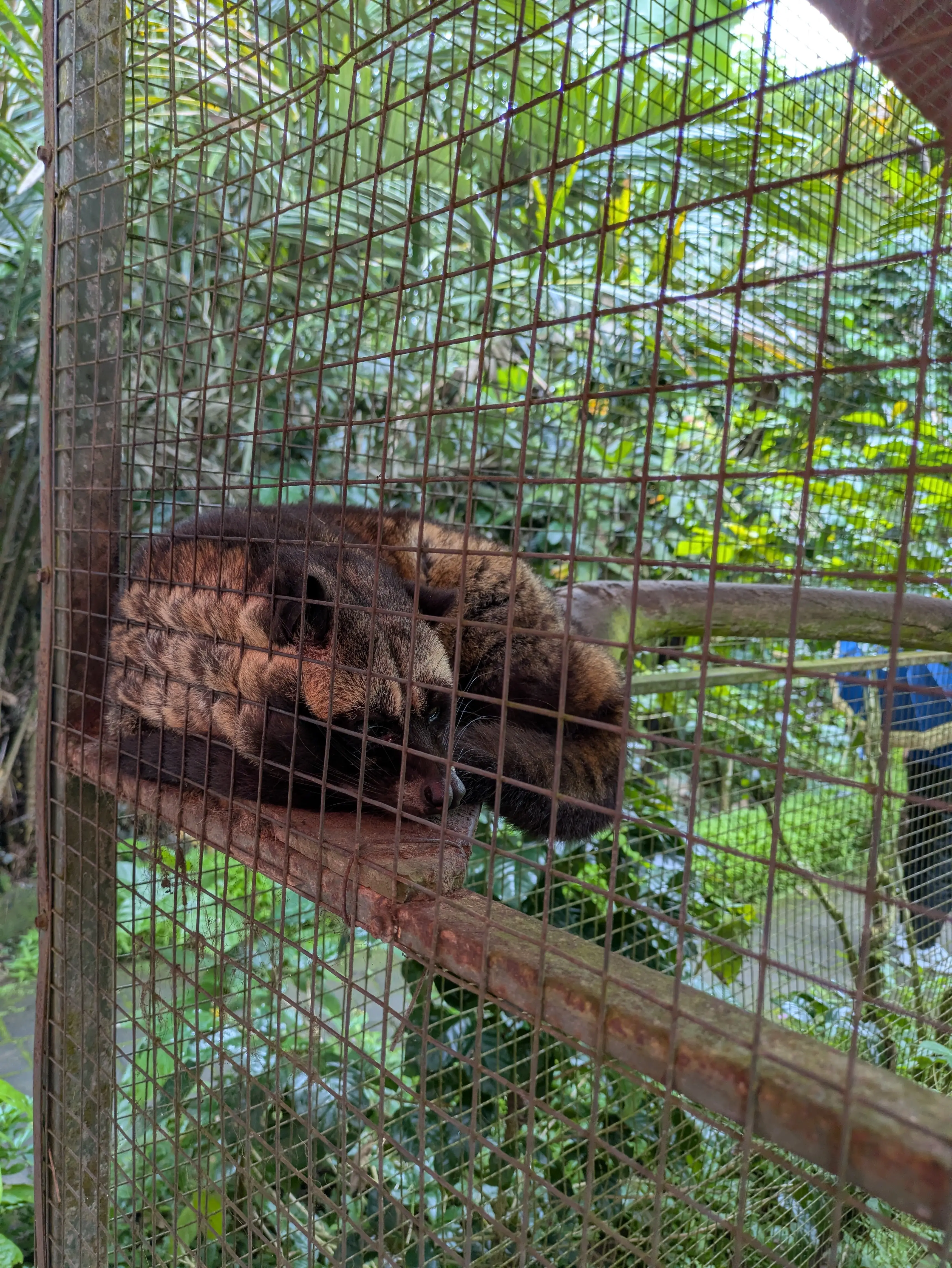 【2026年冬旅】年越しは夫婦で初めてのバリ島へ！その③_1_22-1