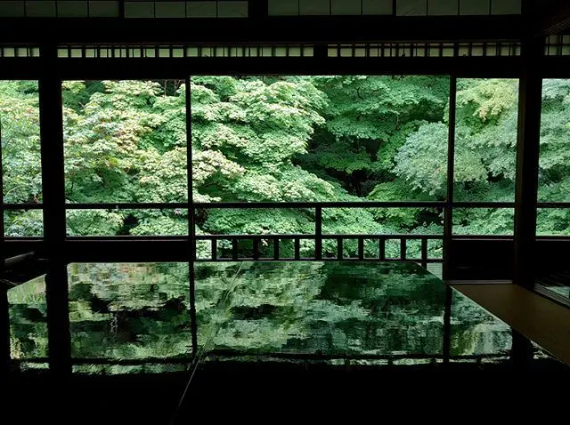 ６月の京都。青紅葉、苔庭、紫陽花。_1_2