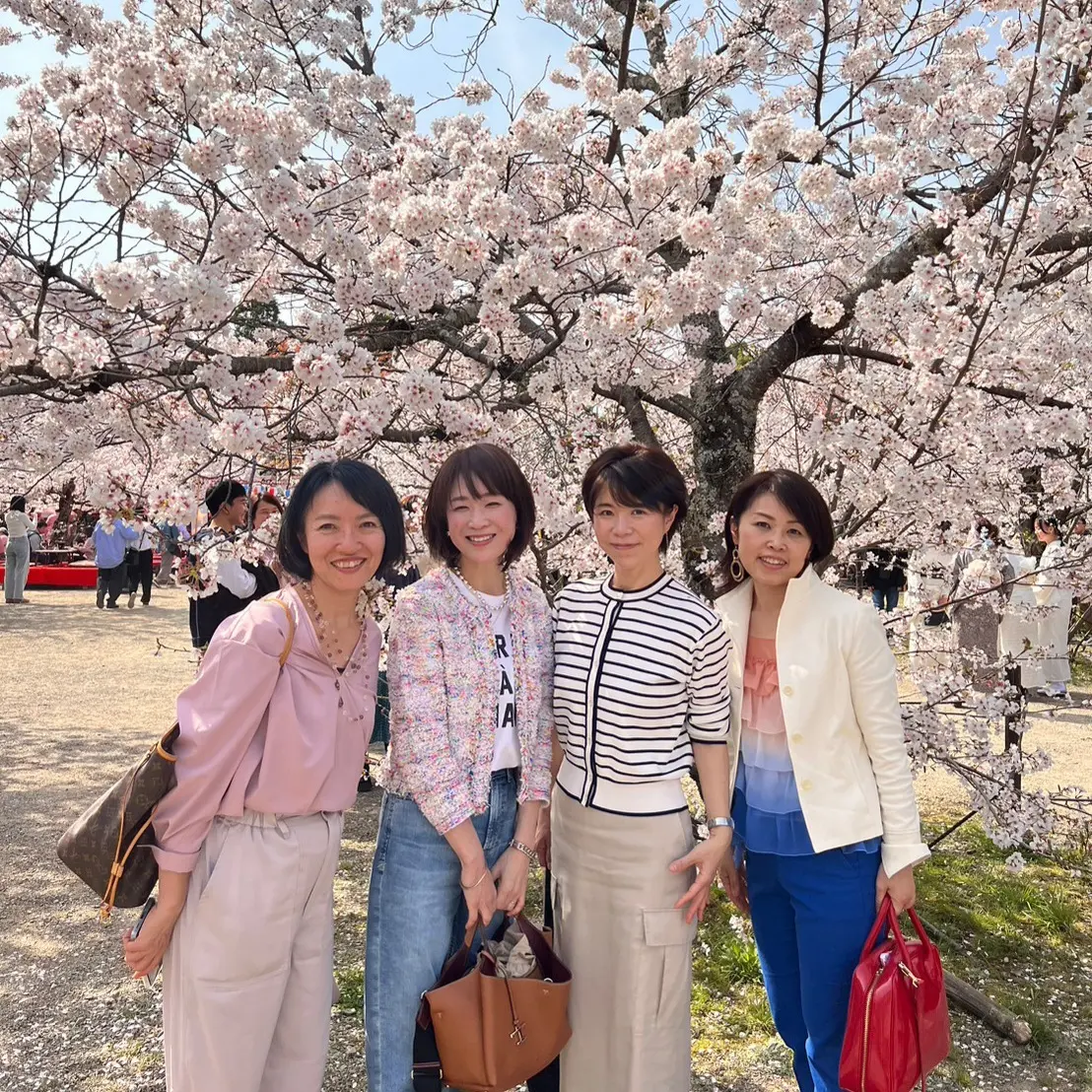 桜とお料理とおしゃべりを満喫した京都弾丸旅行 | チームJマダム ゆー