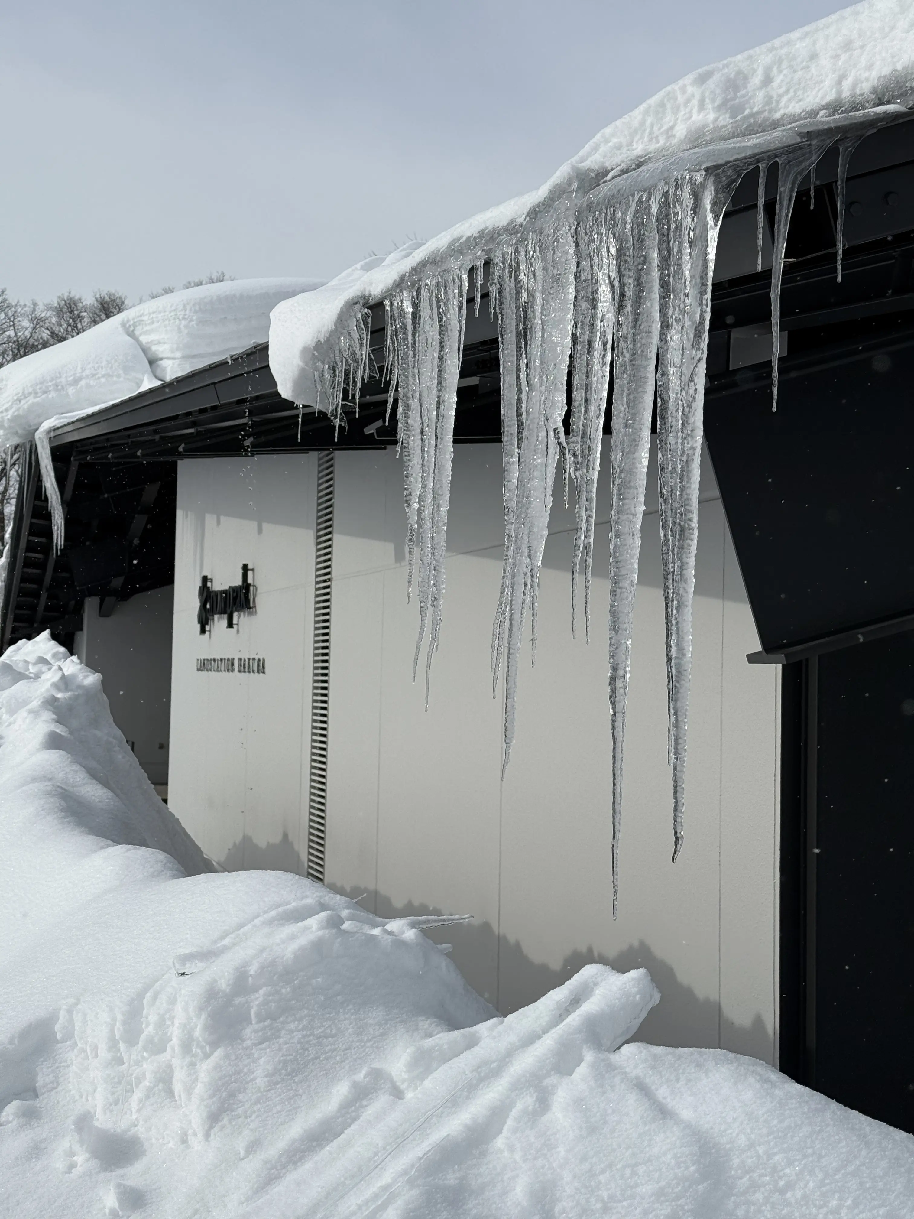 冬の白馬 雪景色とおしゃれカフェで過ごす時間を楽しむ旅_1_53