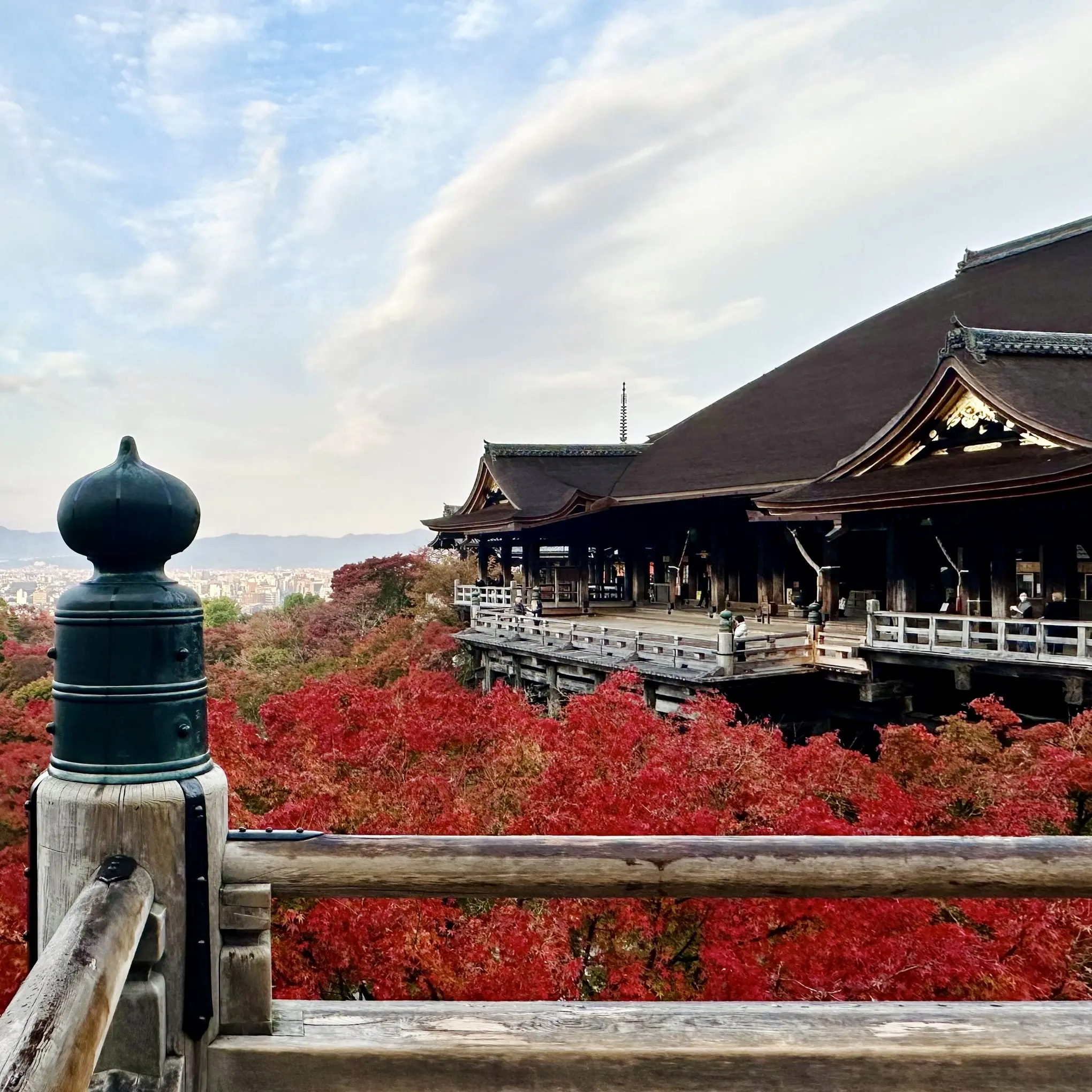 京都「清水寺」本堂と紅葉の景色