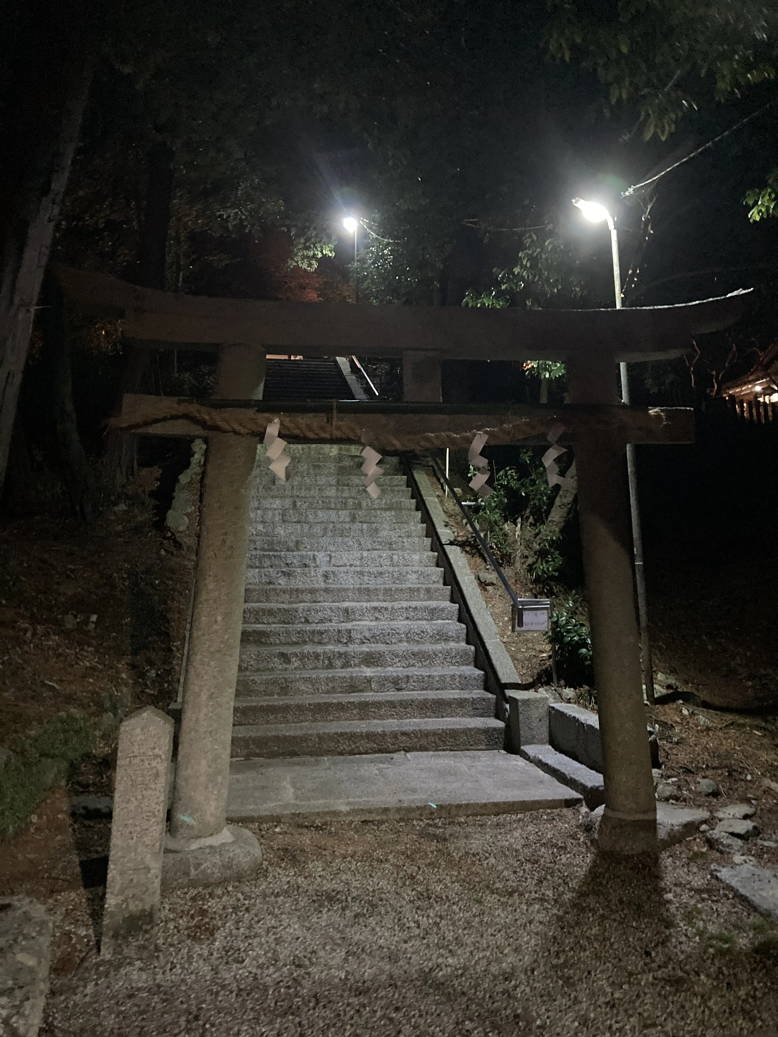 本年もよろしくお願い致します。_1_1-1