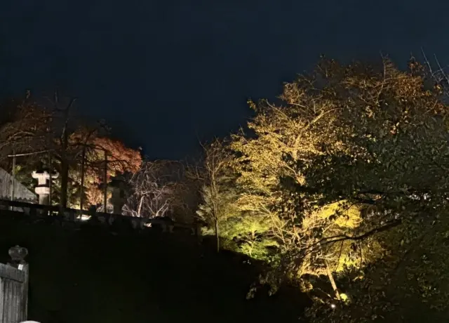 秋の京都の夜は、清水寺へ。_1_3