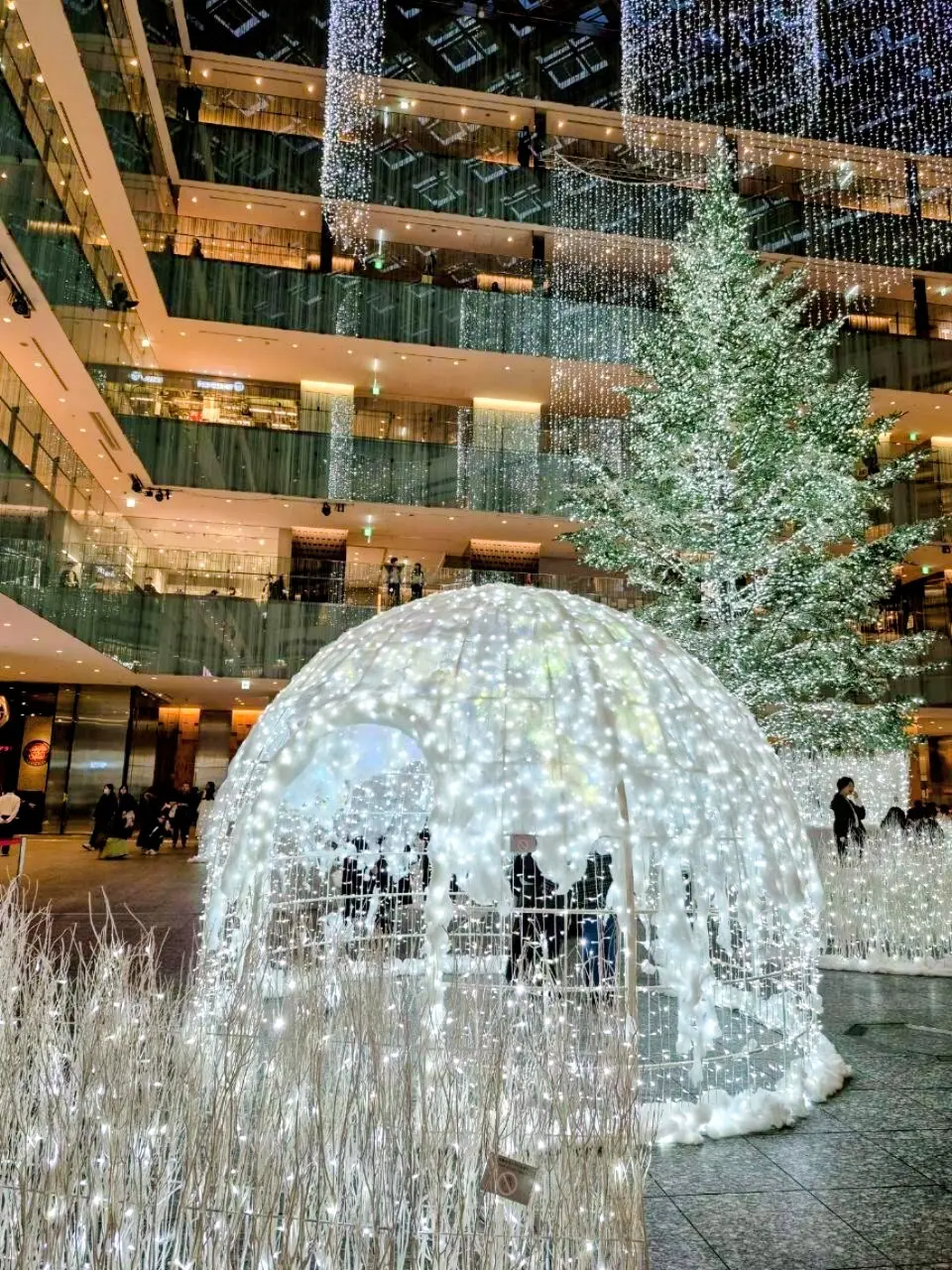 KITTE　イルミネーション　ツリー