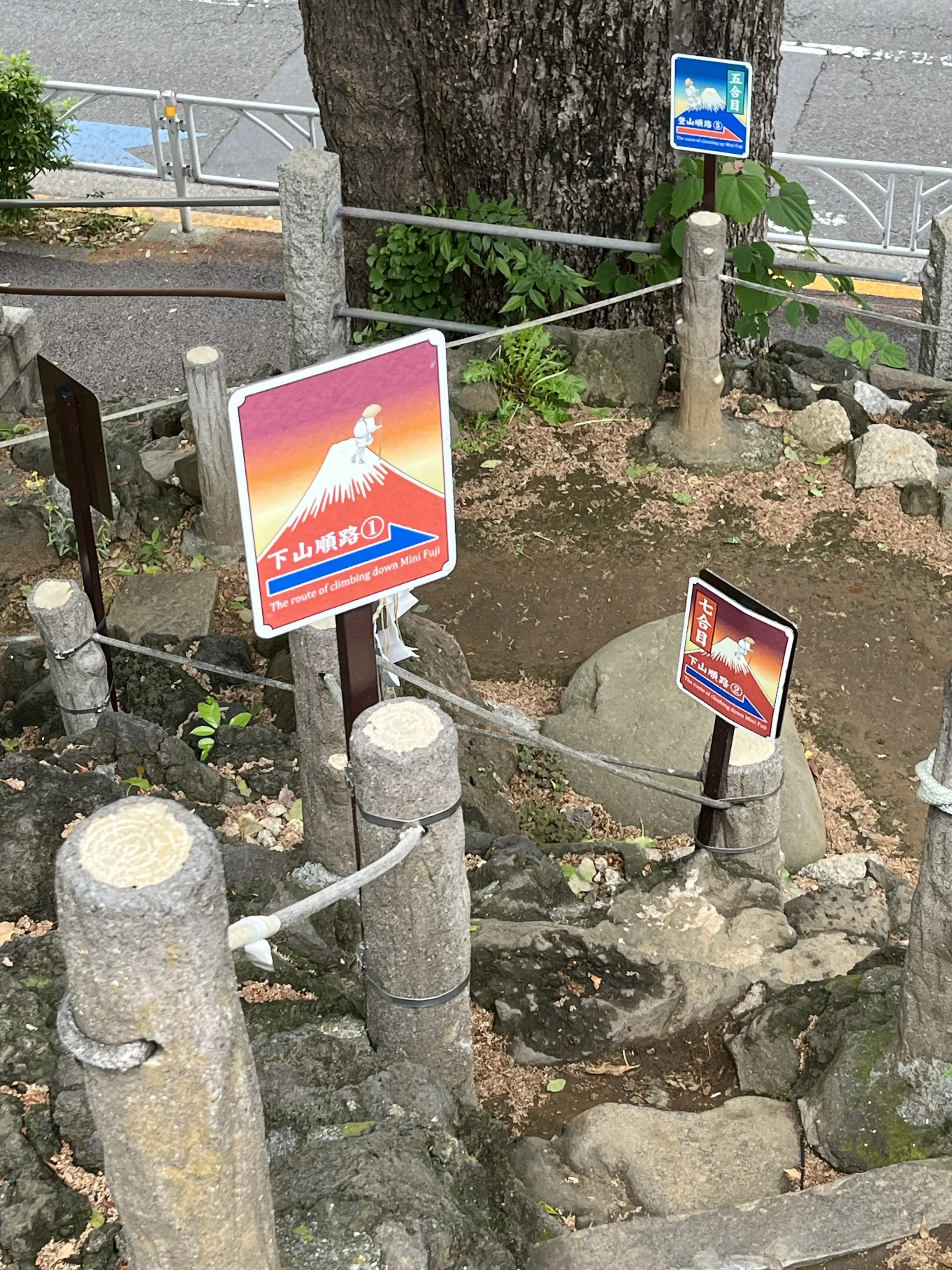 目白から千駄ヶ谷・新宿へ_1_20