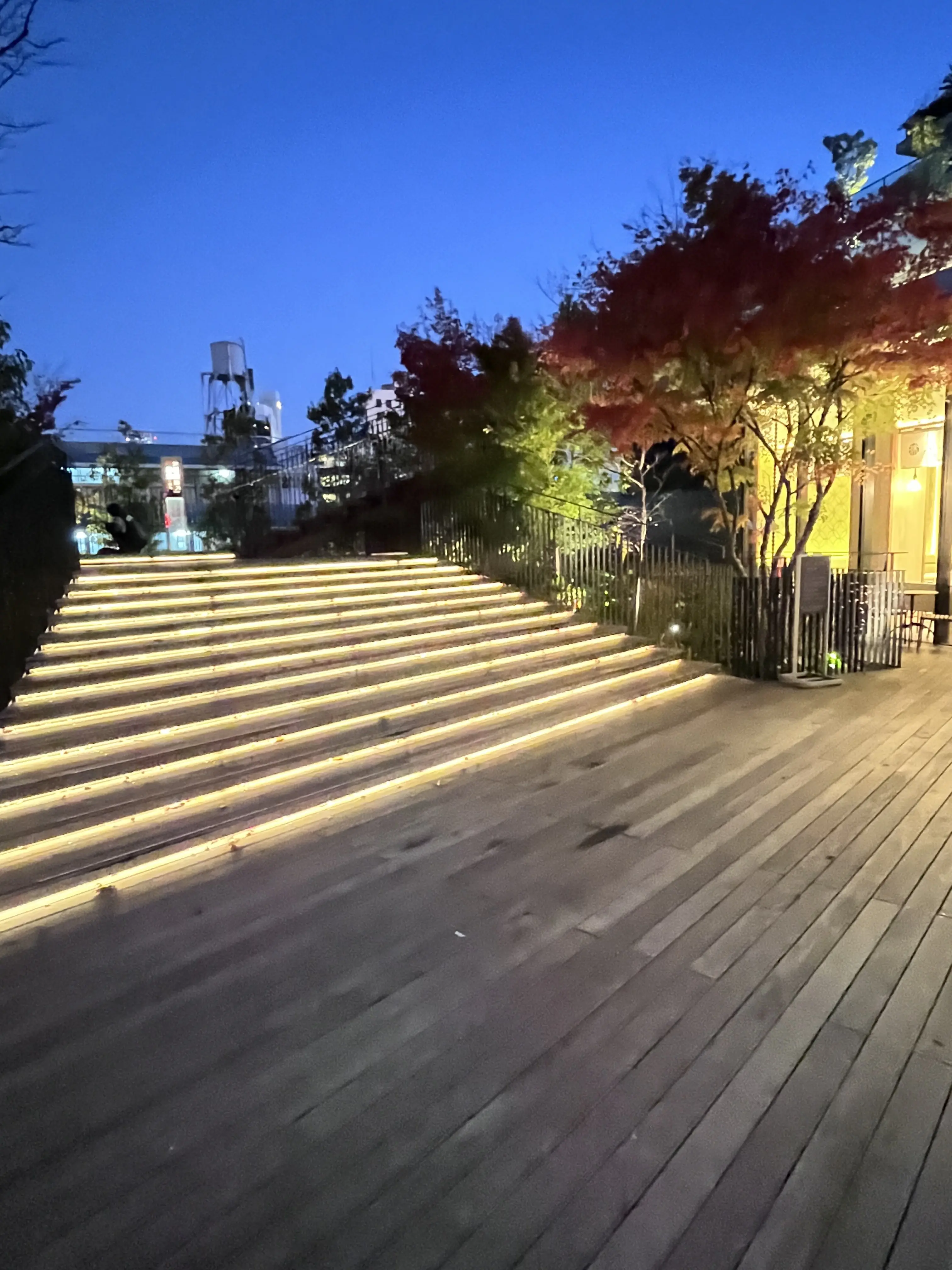 恵比寿でキラキラツリー観賞・夜はLiveで NHKホールへ_1_15