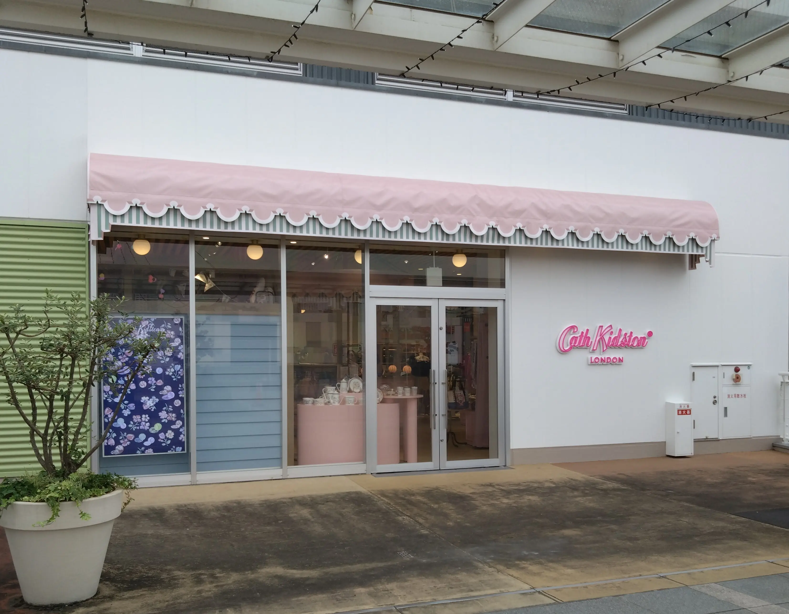 キャスキッドソン