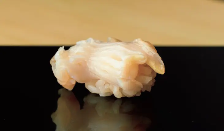 国内旅行　金沢　和食　『鮨一誠』甘エビ、バイ貝　冬限定のネタをワインと　コリコリした食感 がクセになるバイ貝のにぎり