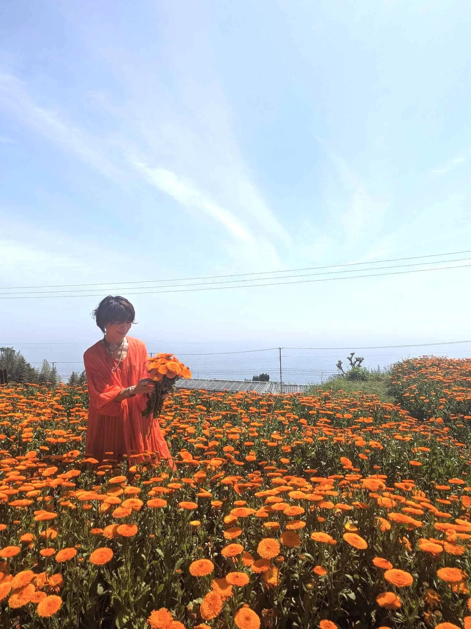 Calendula Tour！_1_6