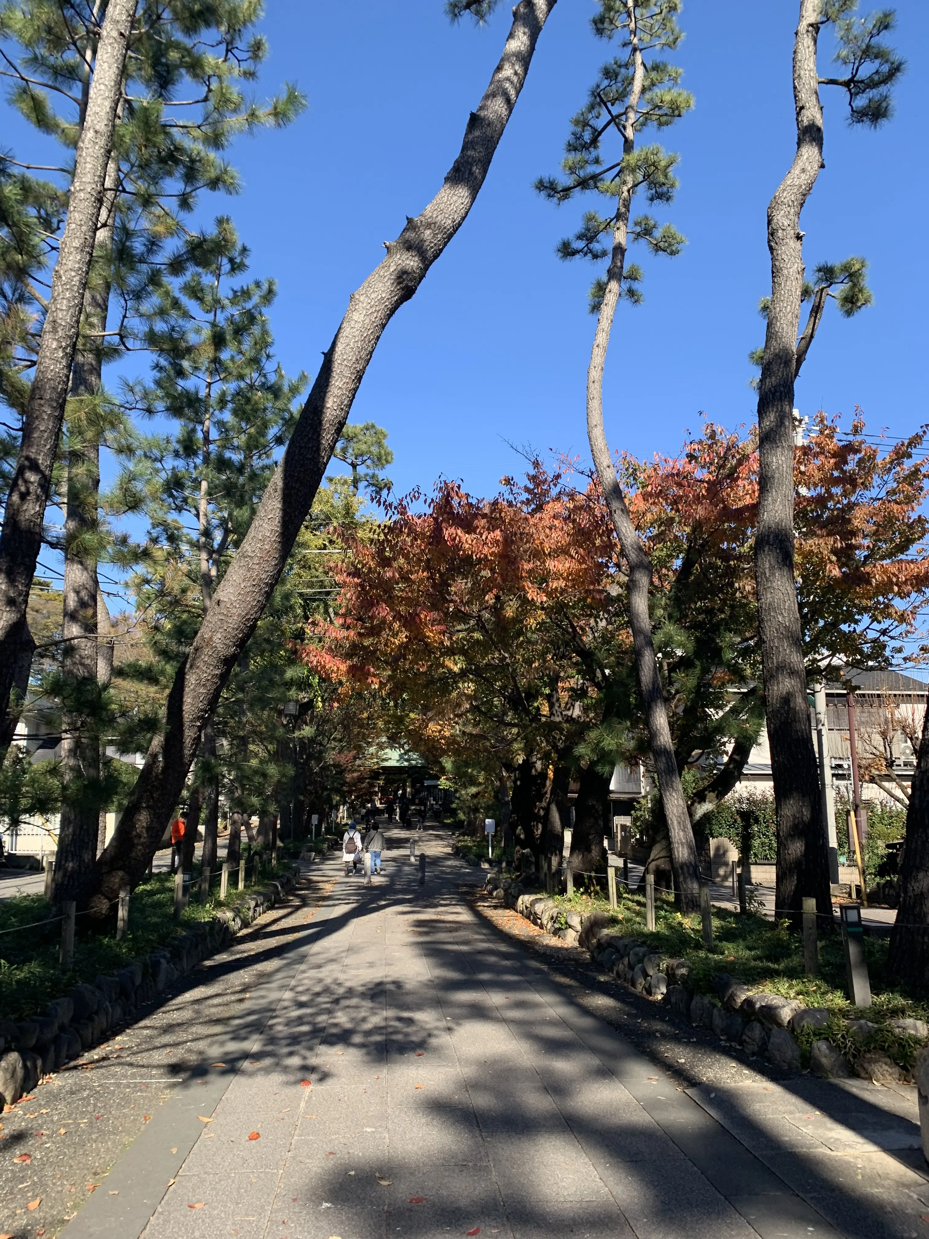 九品仏駅から伸びる浄真寺までの参道