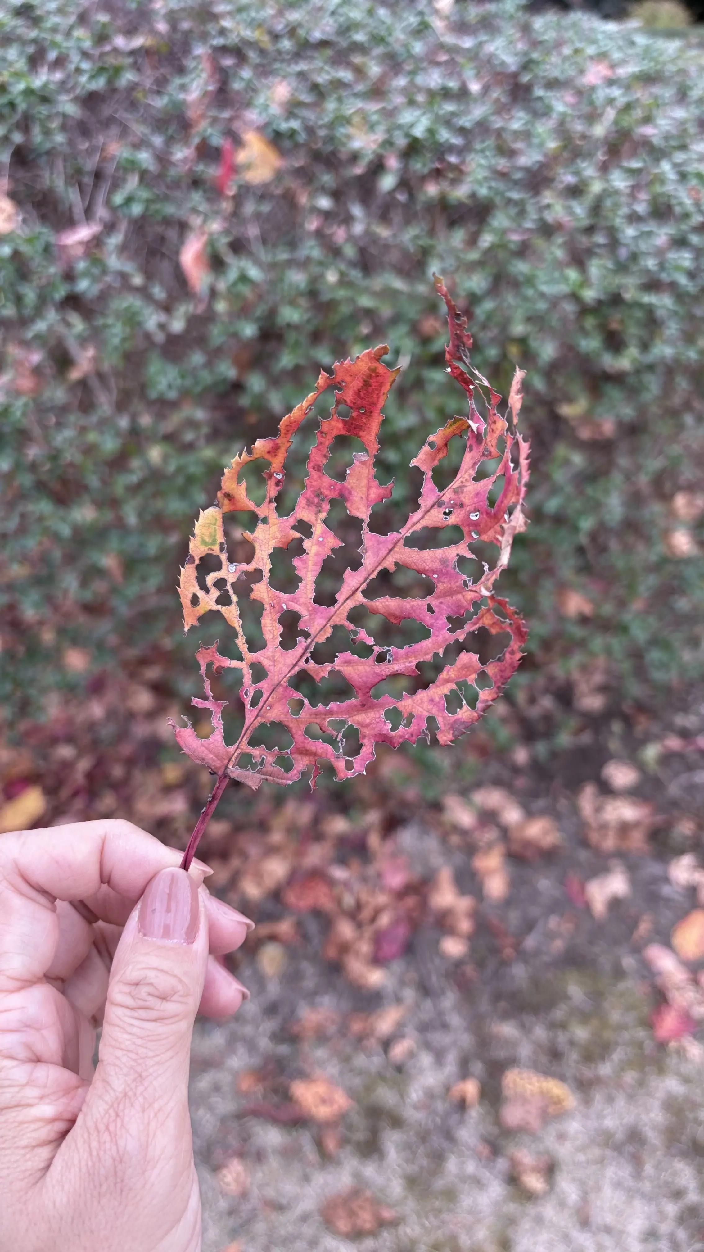 乾通り散策＊GUコーデ_1_6