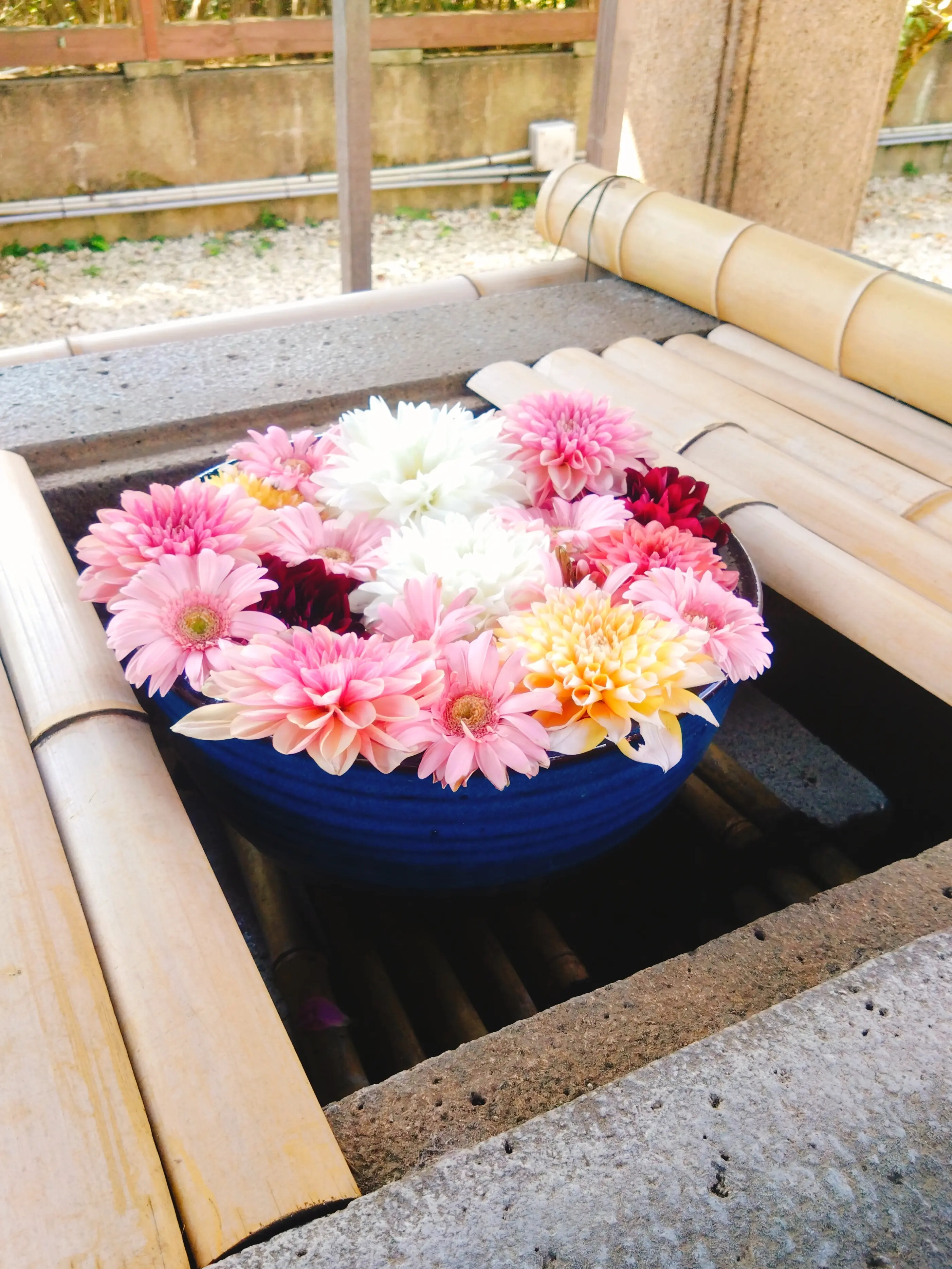 上野東照宮の花手水