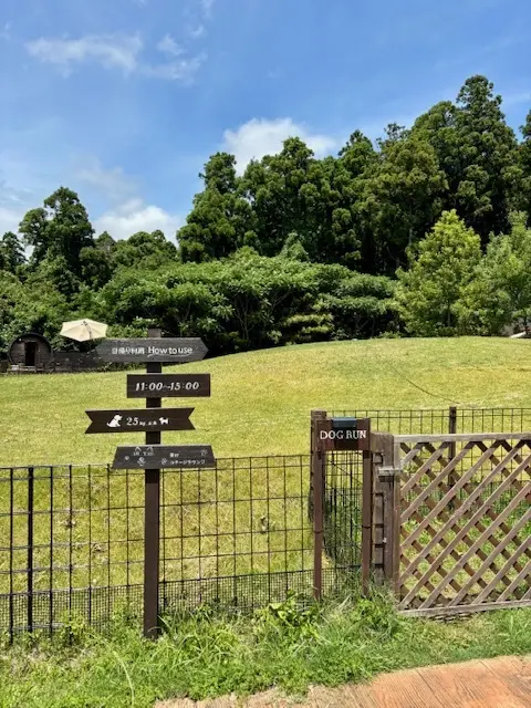 広大な農園のカフェで美味しい鉢植え（パフェ）食べました！_1_15-1