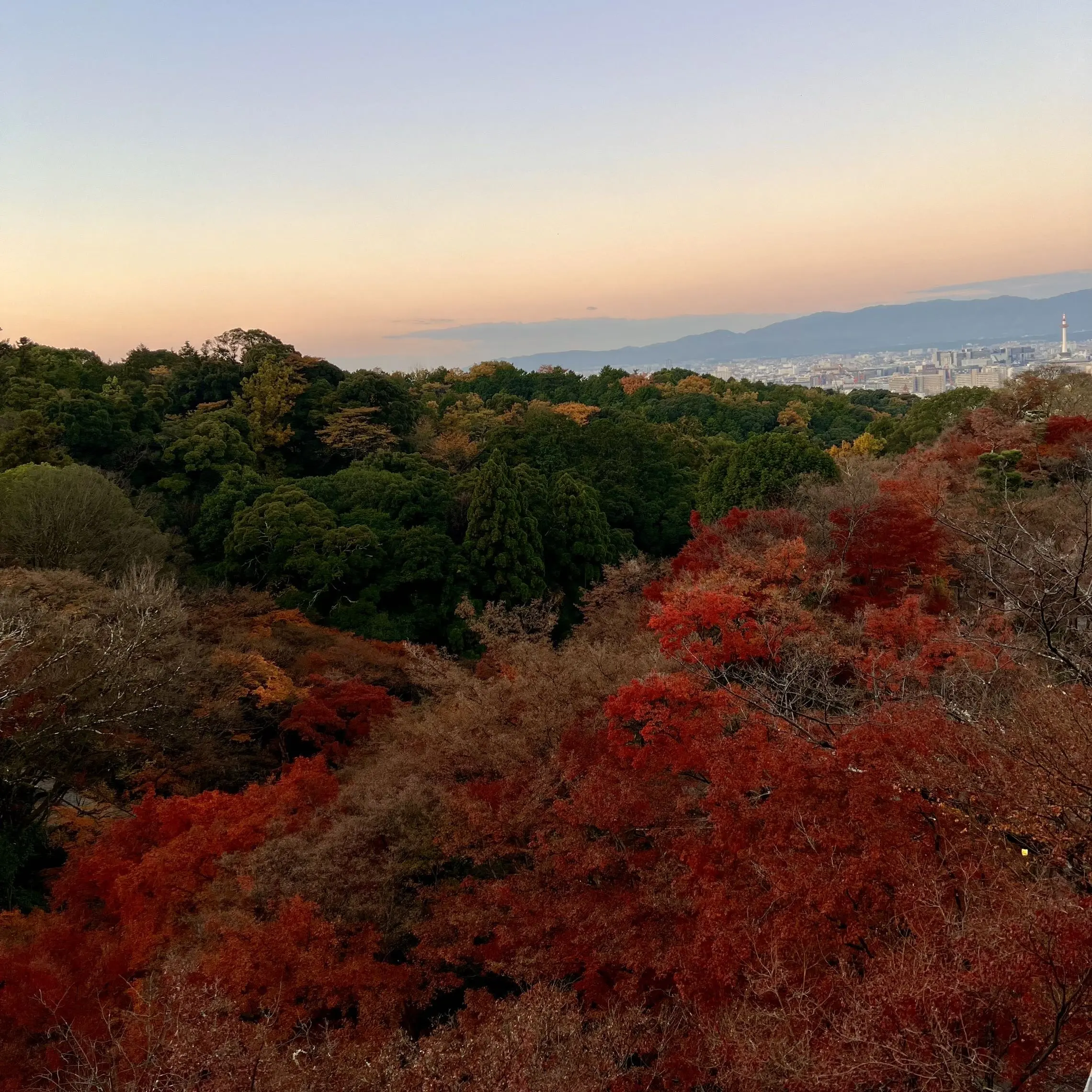 秋の景色を楽しむ♡京都の紅葉②_1_9