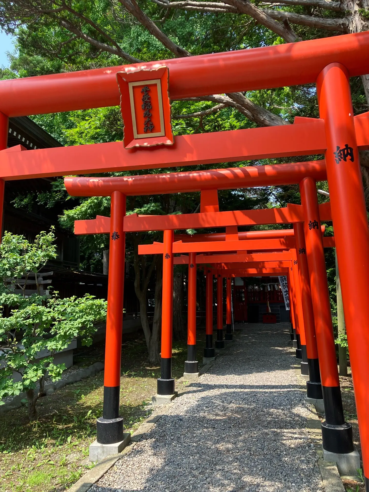 【函館】夏旅最終日。パワースポットと最後の美味しいもの探し♪_1_8