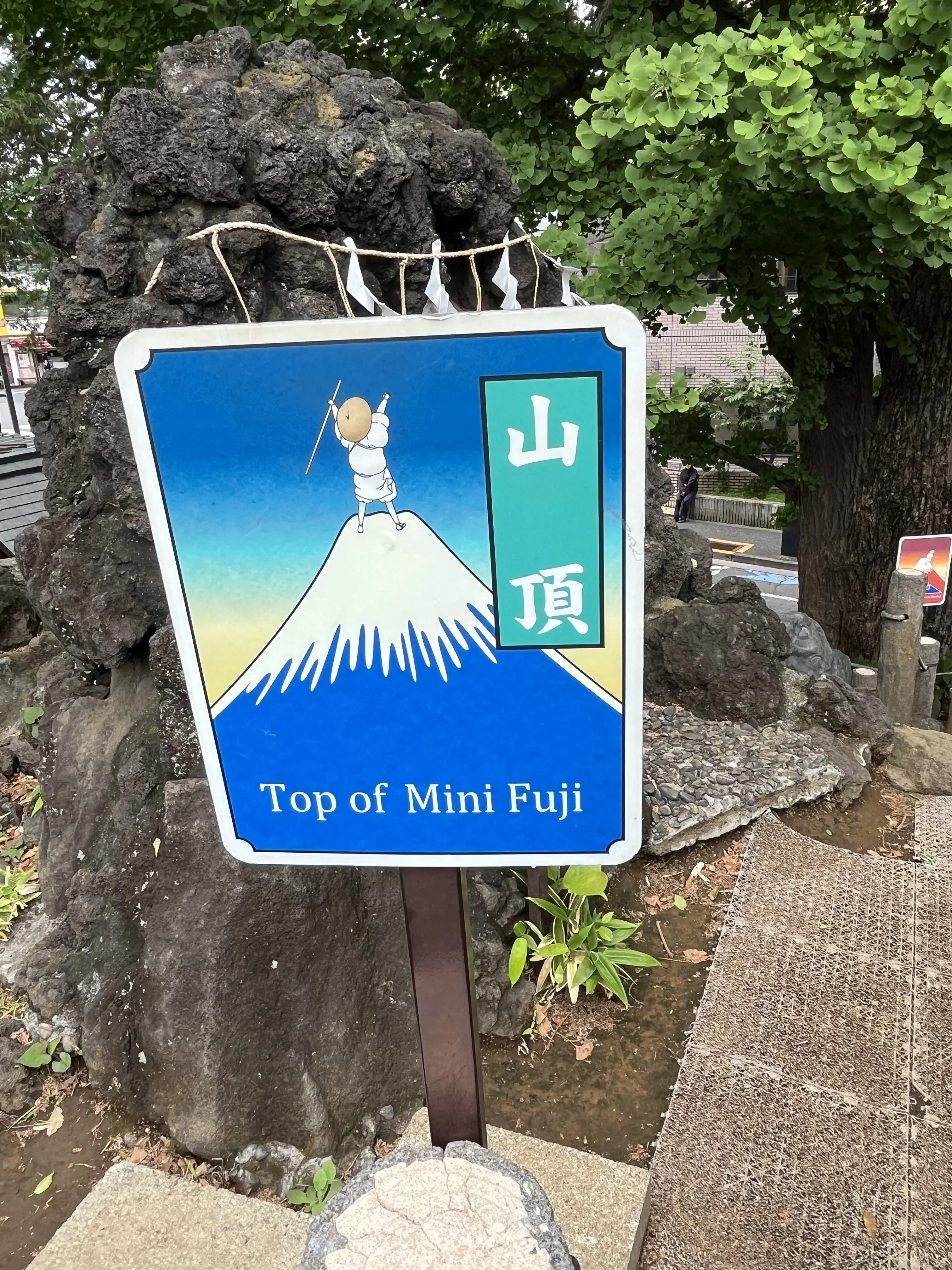 目白から千駄ヶ谷・新宿へ_1_17