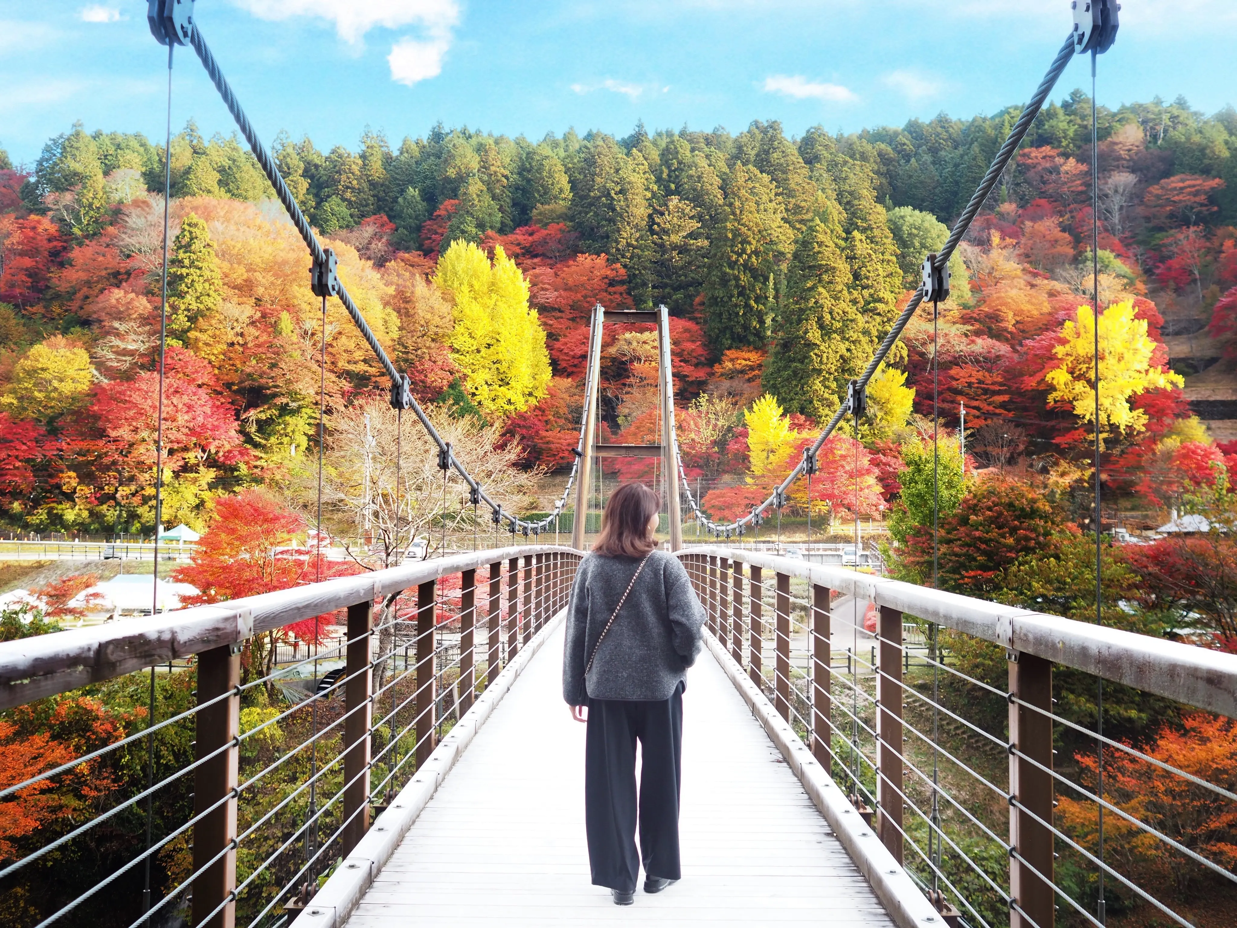 風のつり橋から見る紅葉