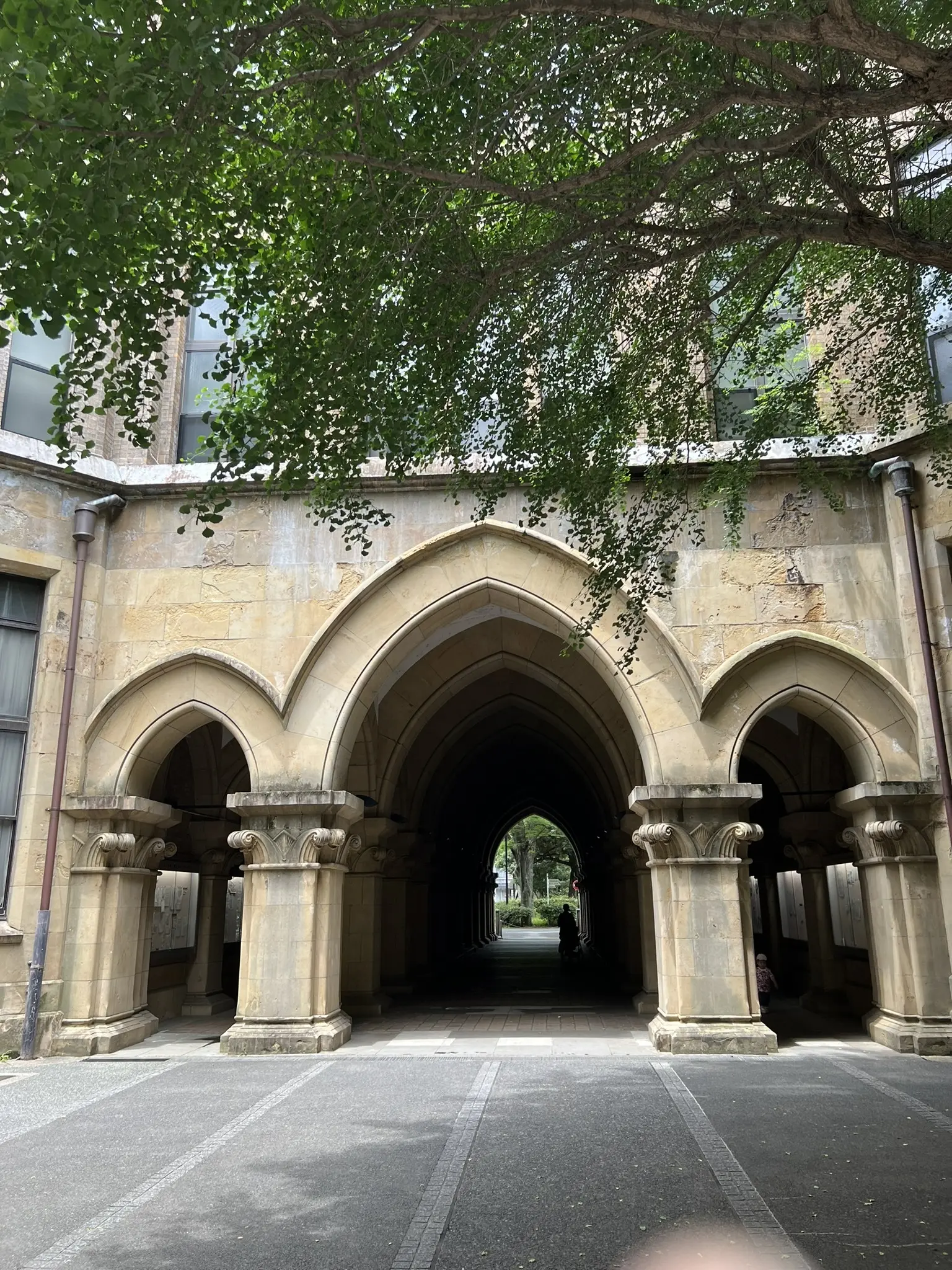 東京大学