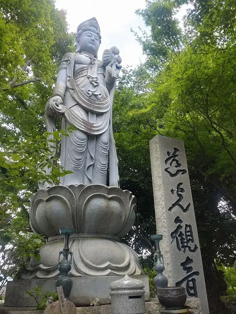 夏を振りカエル。福岡・かえる寺への旅_1_1-1