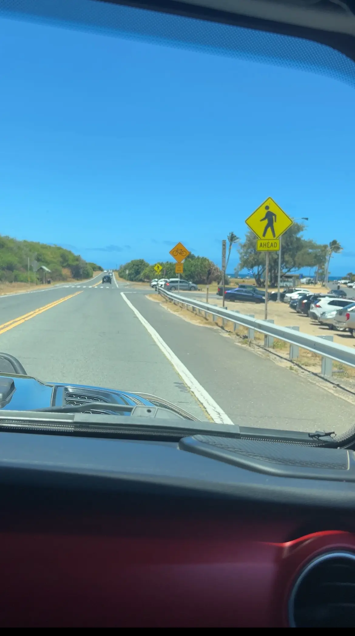 サマーバケーション in Hawaii ~カフェと海とタートルと〜_1_9