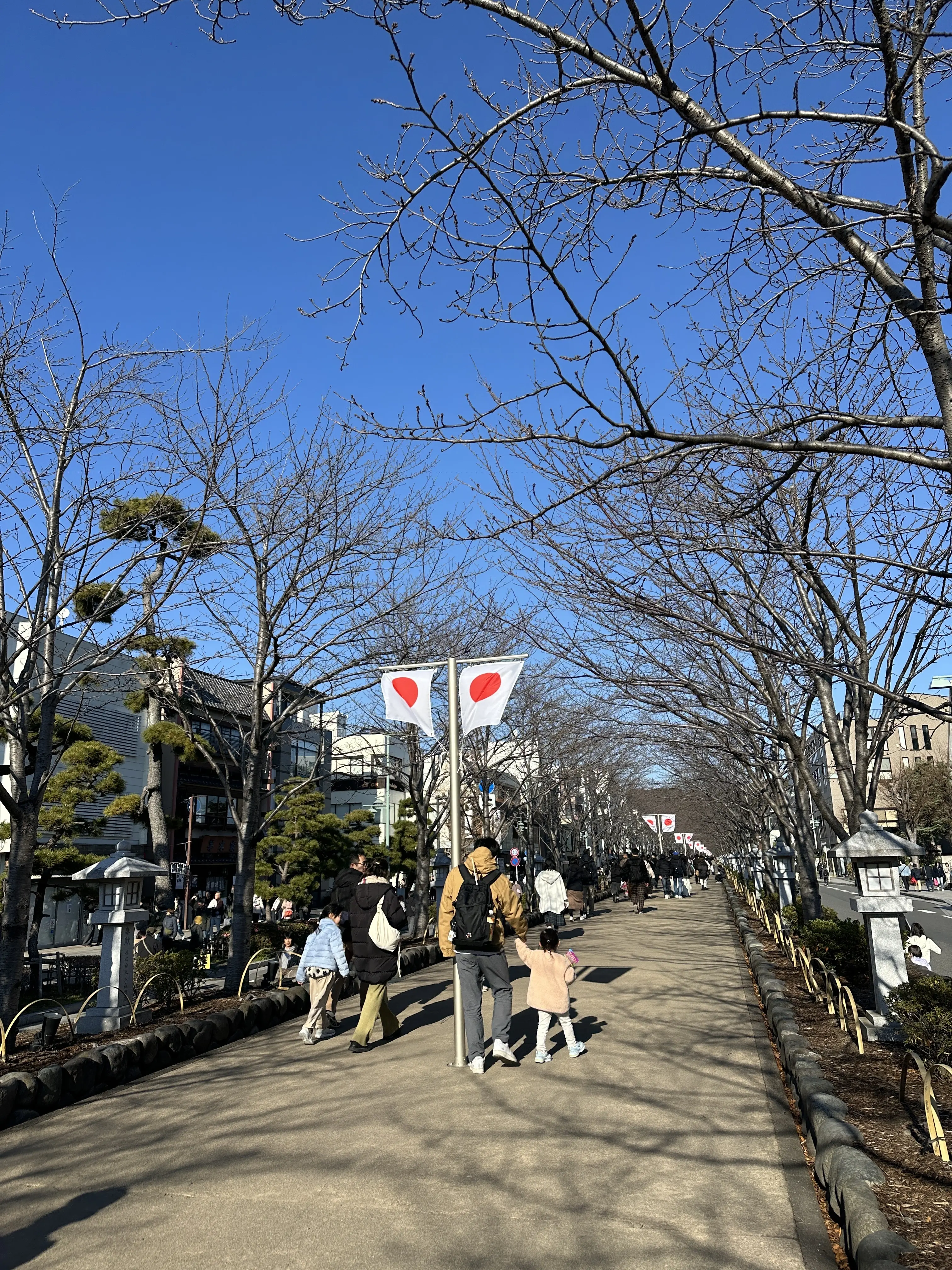 鶴岡八幡宮　初詣　お正月