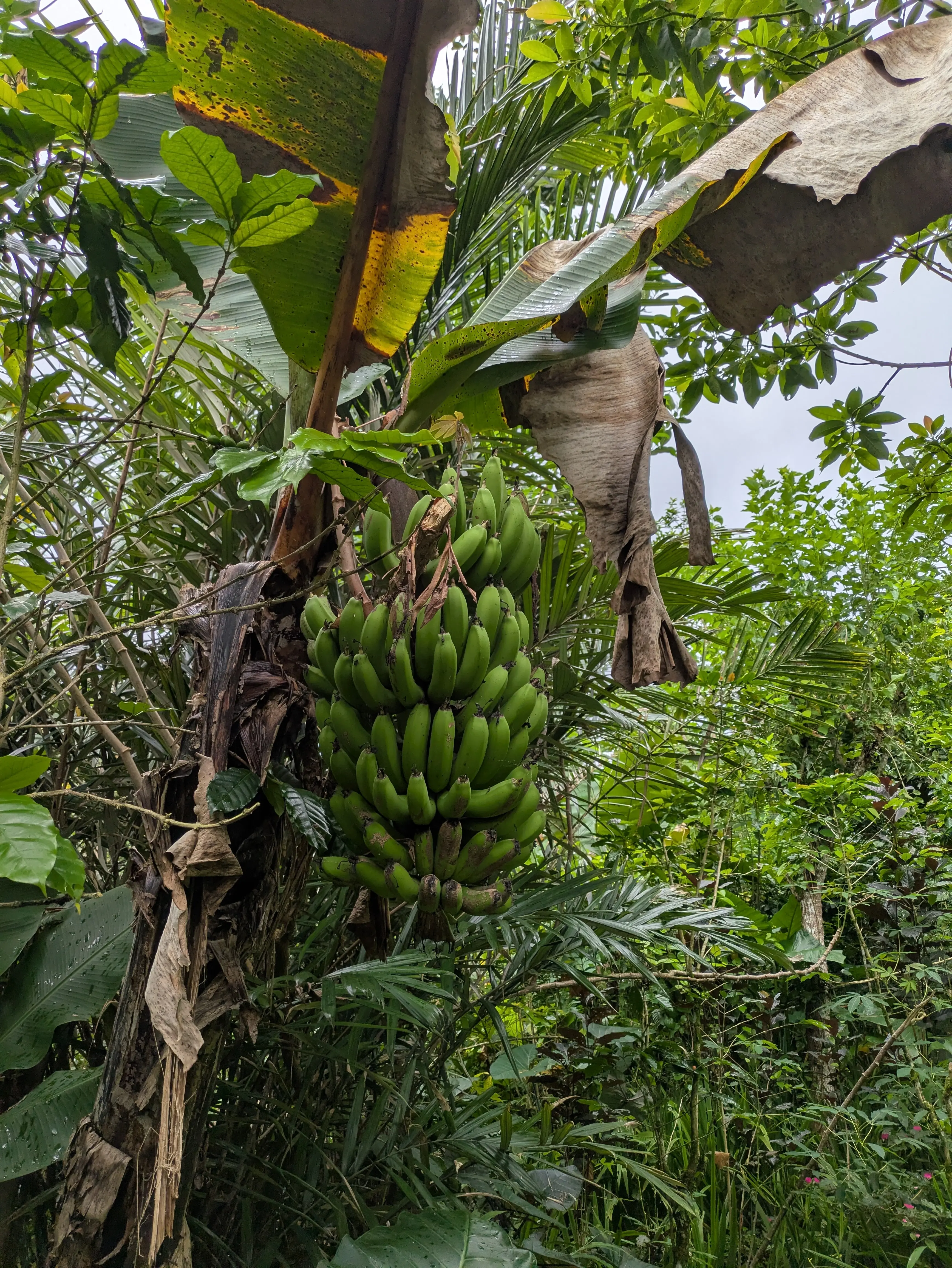 【2026年冬旅】年越しは夫婦で初めてのバリ島へ！その③_1_21-2