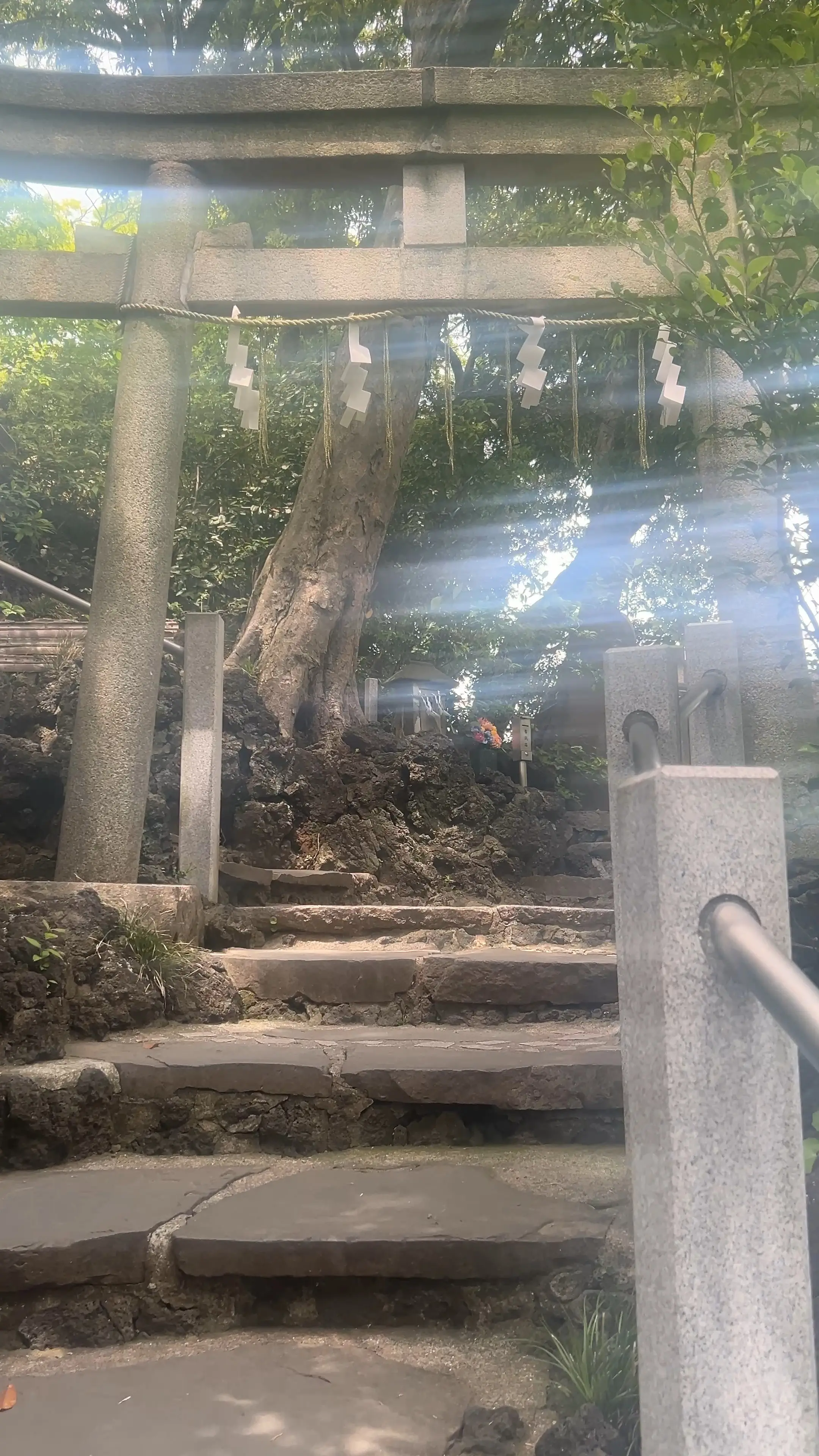 ふらっと日帰り一人旅〜東京神社めぐり〜_1_5