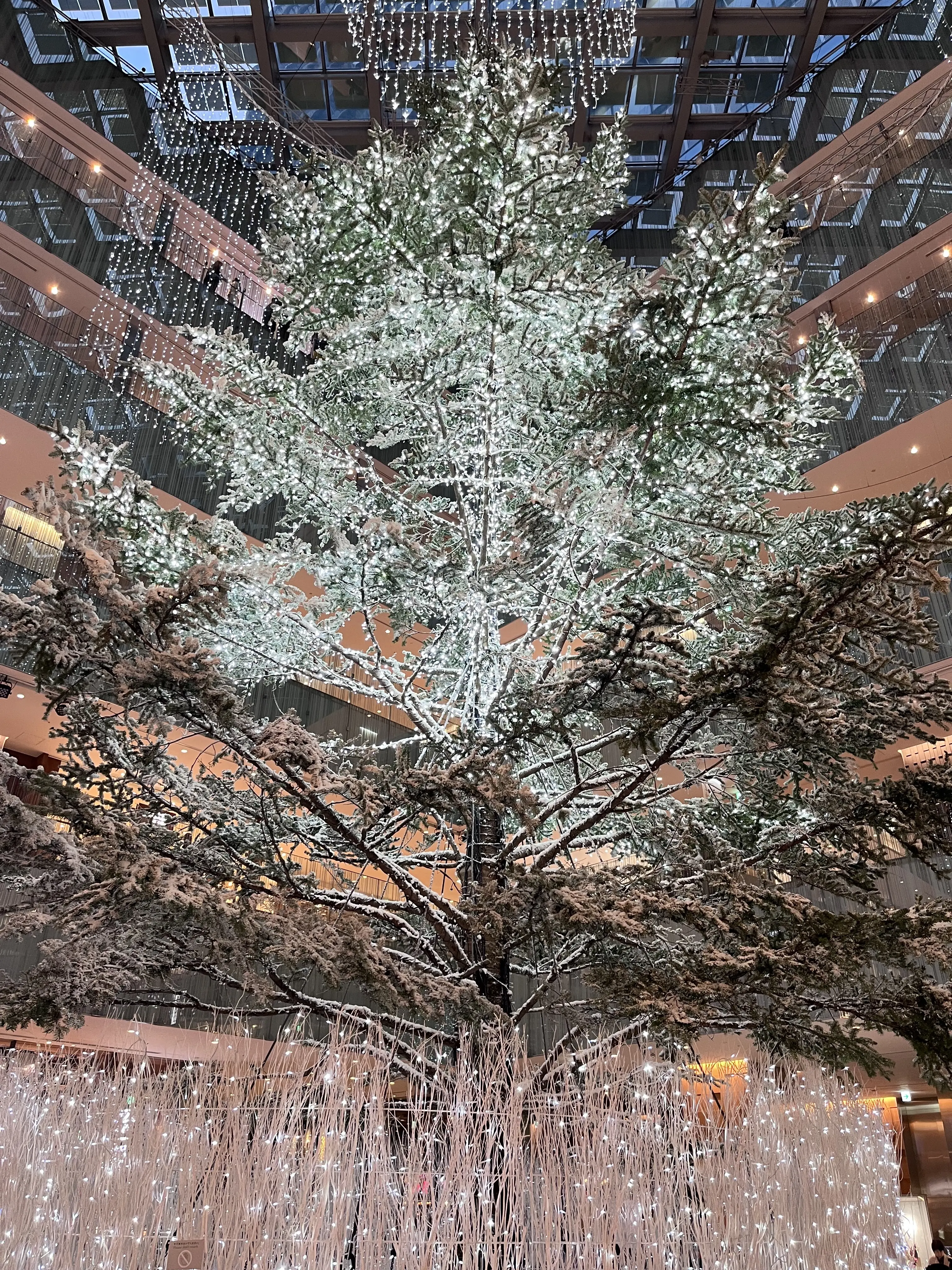 お花好きメンバーでキラキラ観賞♪日比谷〜丸の内巡り_1_19