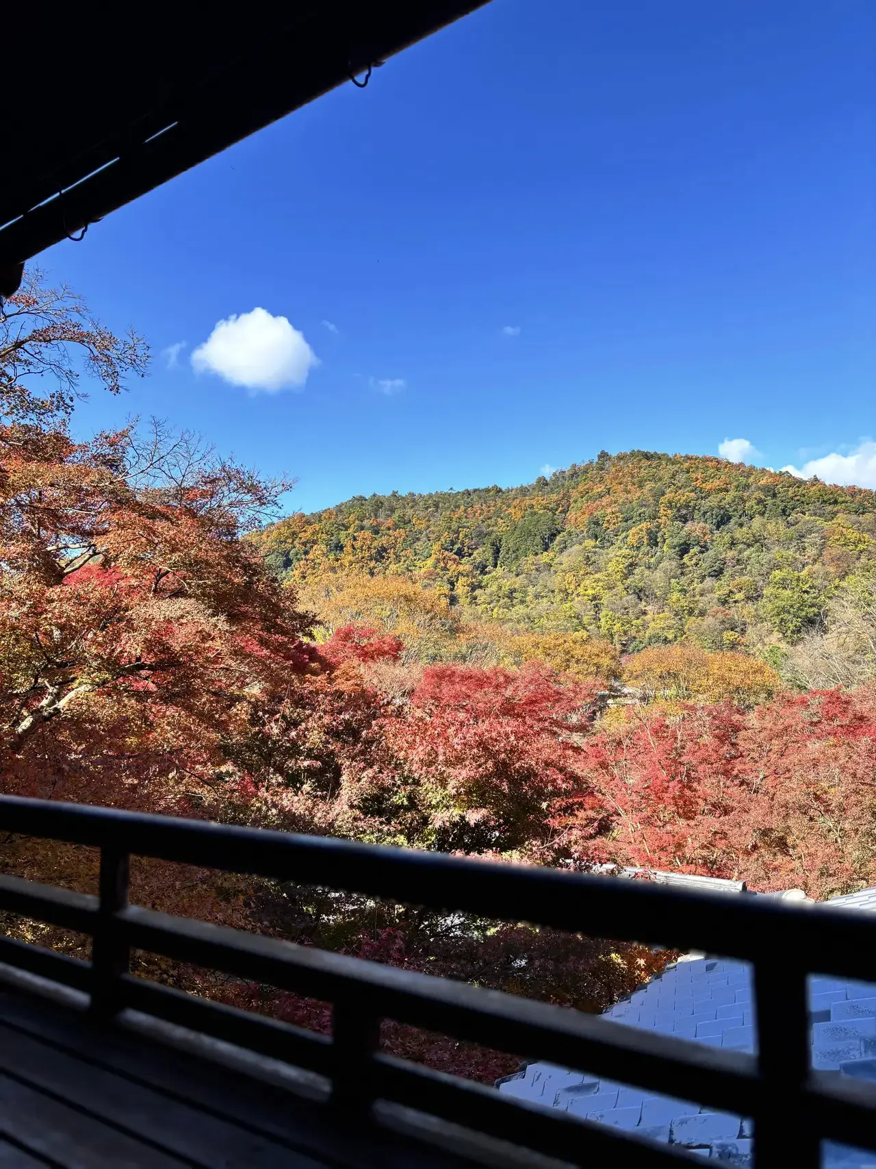 瑠璃光院の最寄駅