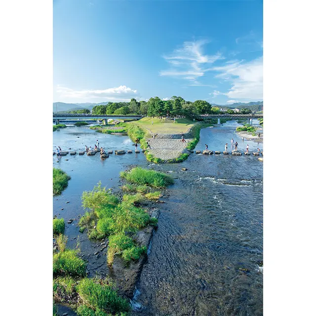 鴨川沿いを歩く。 おすすめは御池大橋より北