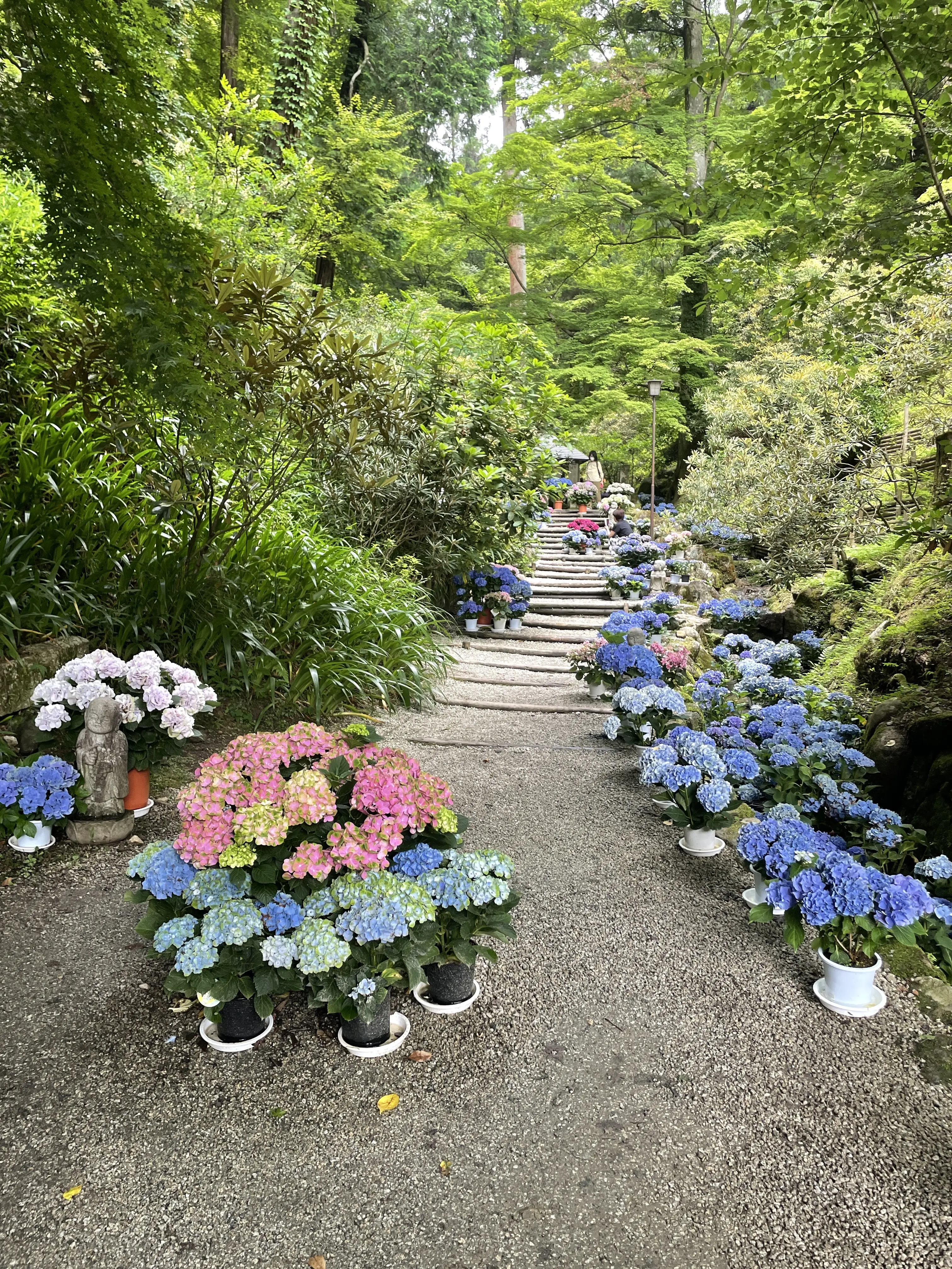紫陽花色のワンピースで奈良の有名な花寺を巡る_1_2-4