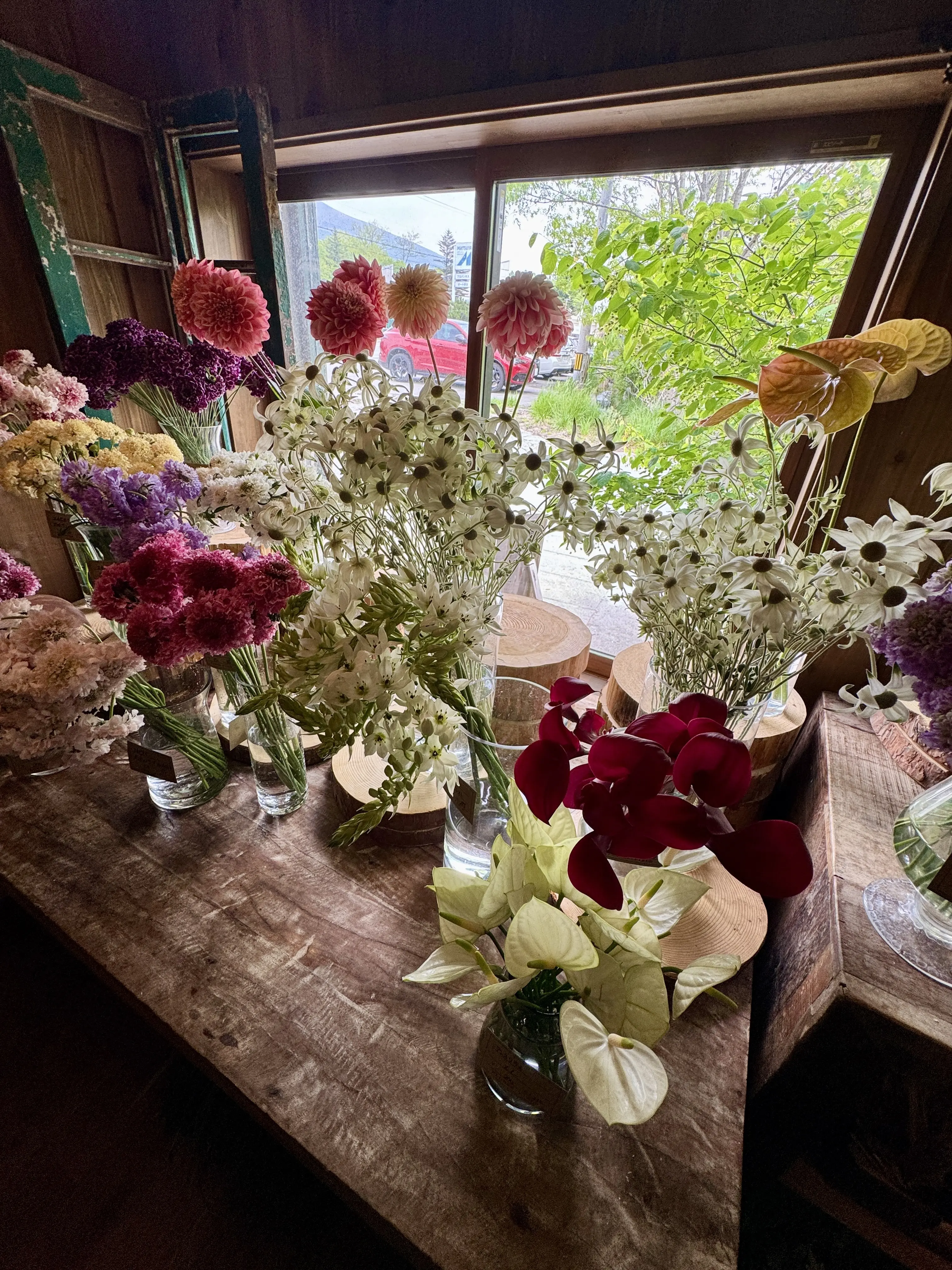 GATE FLOWER FIELD