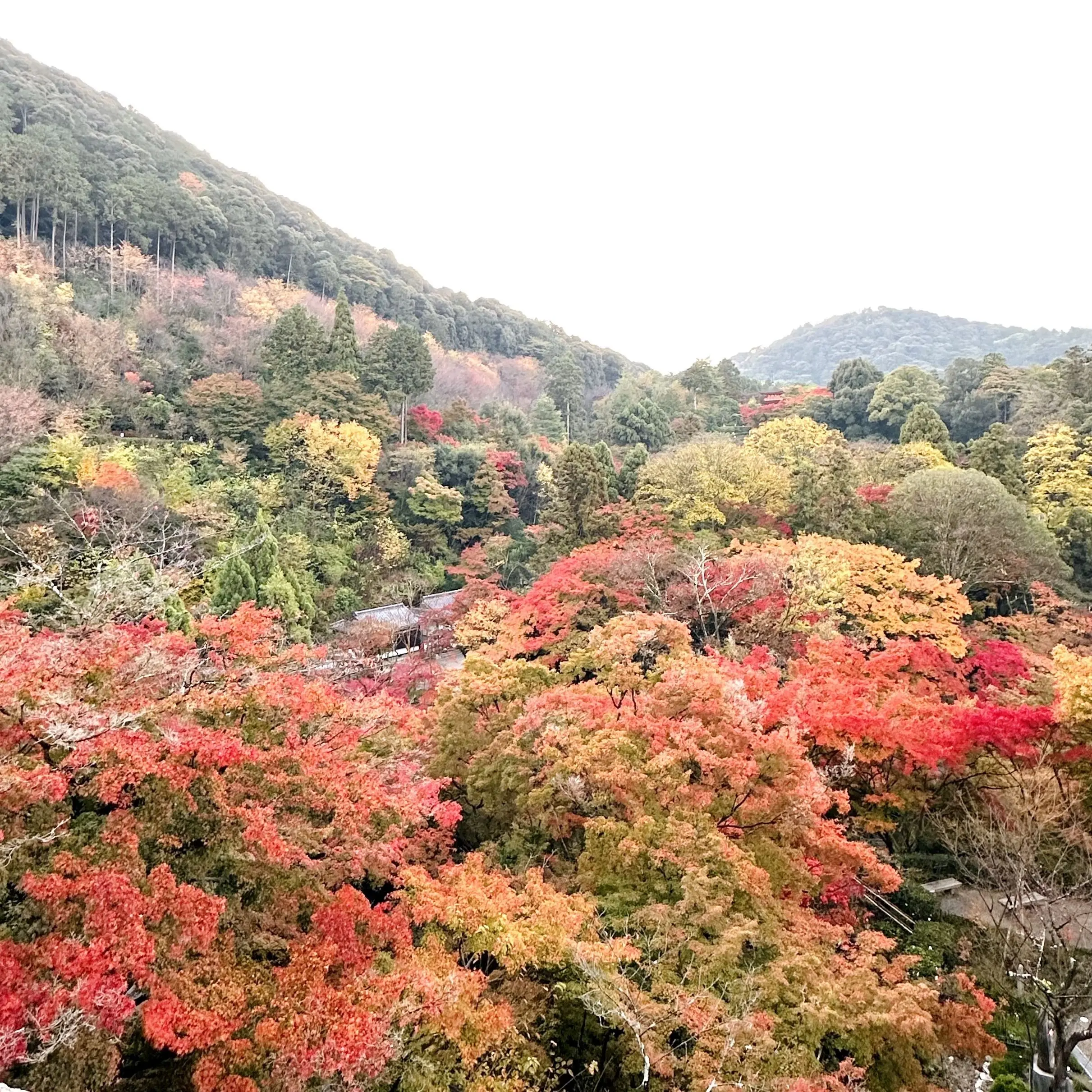 京都「清水寺」轟門付近からの景色