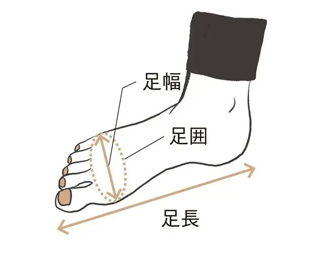 【STEP2】足の周囲をチェック