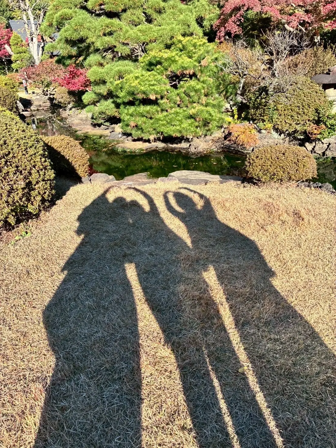大隈庭園の芝生に伸びる3人の影のシルエット。秋の日差しと紅葉が美しい早稲田大学キャンパス
