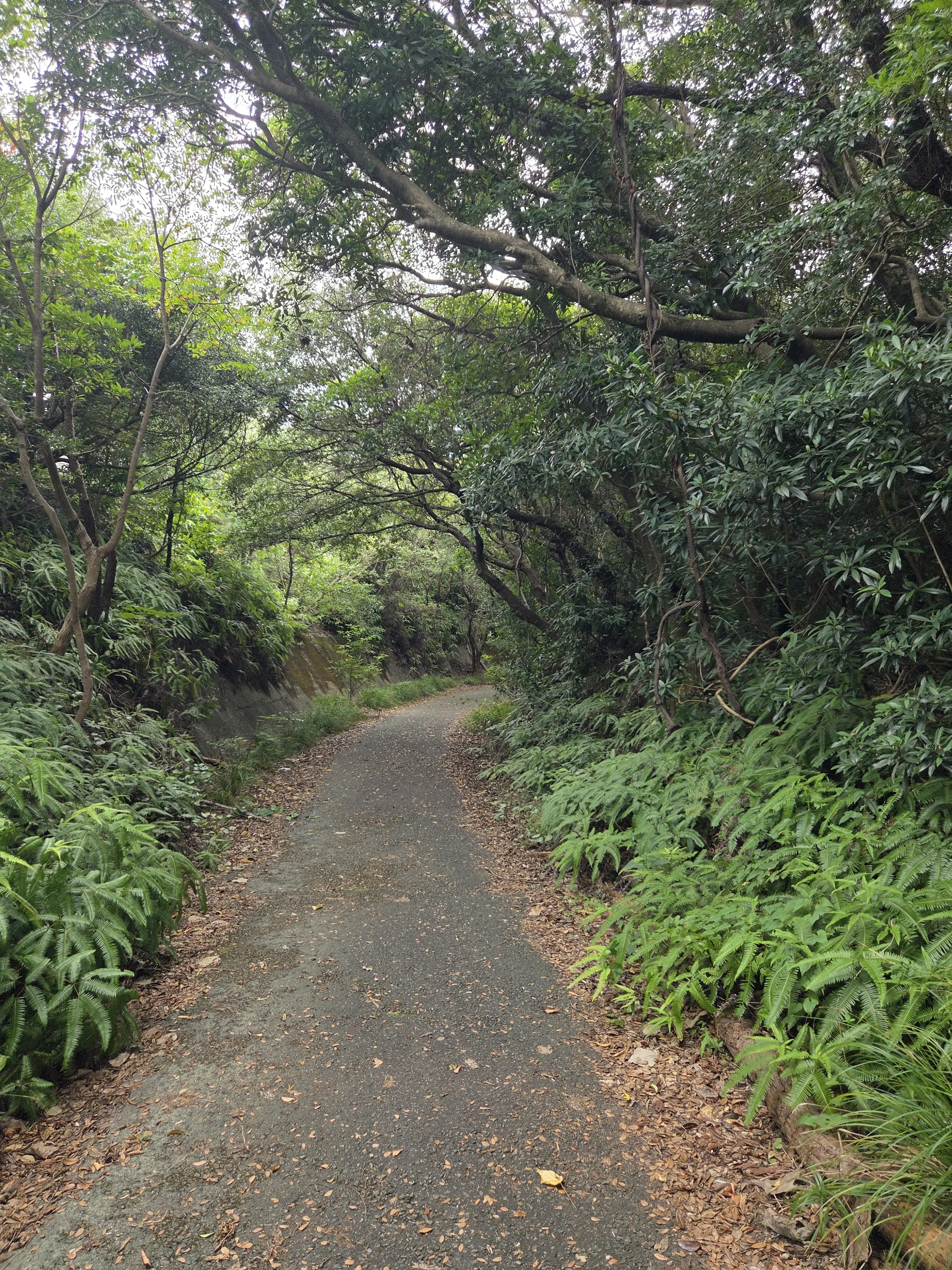 和歌山2泊3日　熊野古道にふれる世界遺産の旅②_1_1