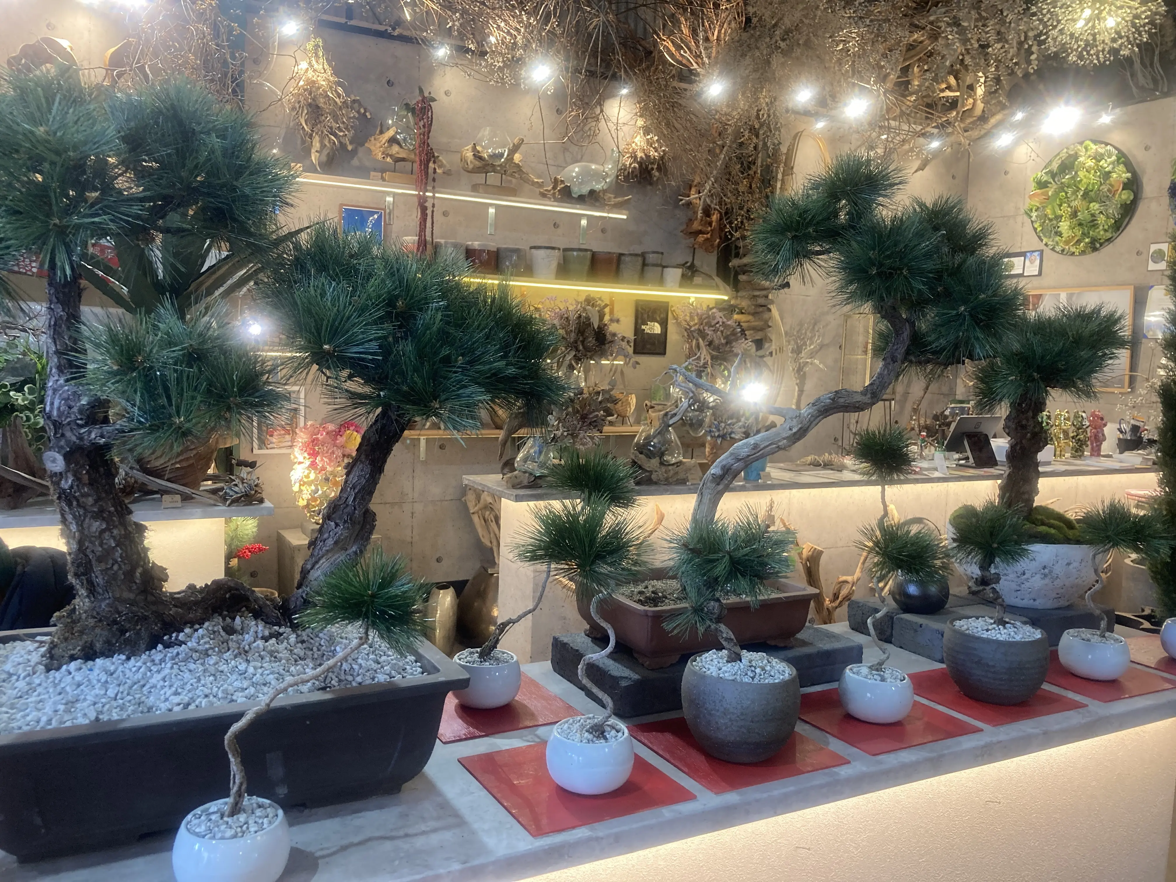 プチ・クリスマス気分を味わいに出かけました。_1_10