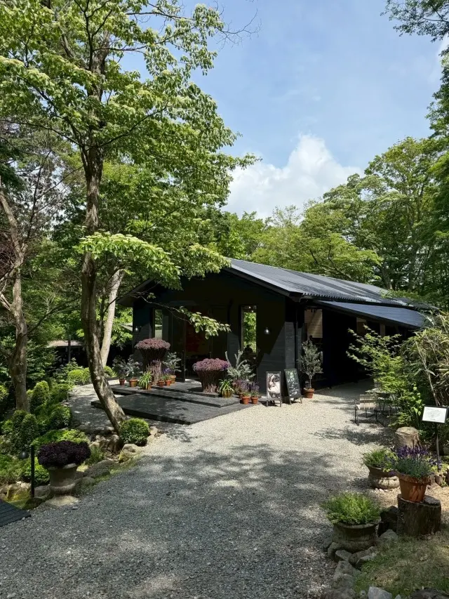 箱根⭐︎心を満たす大人女子4人旅_1_1