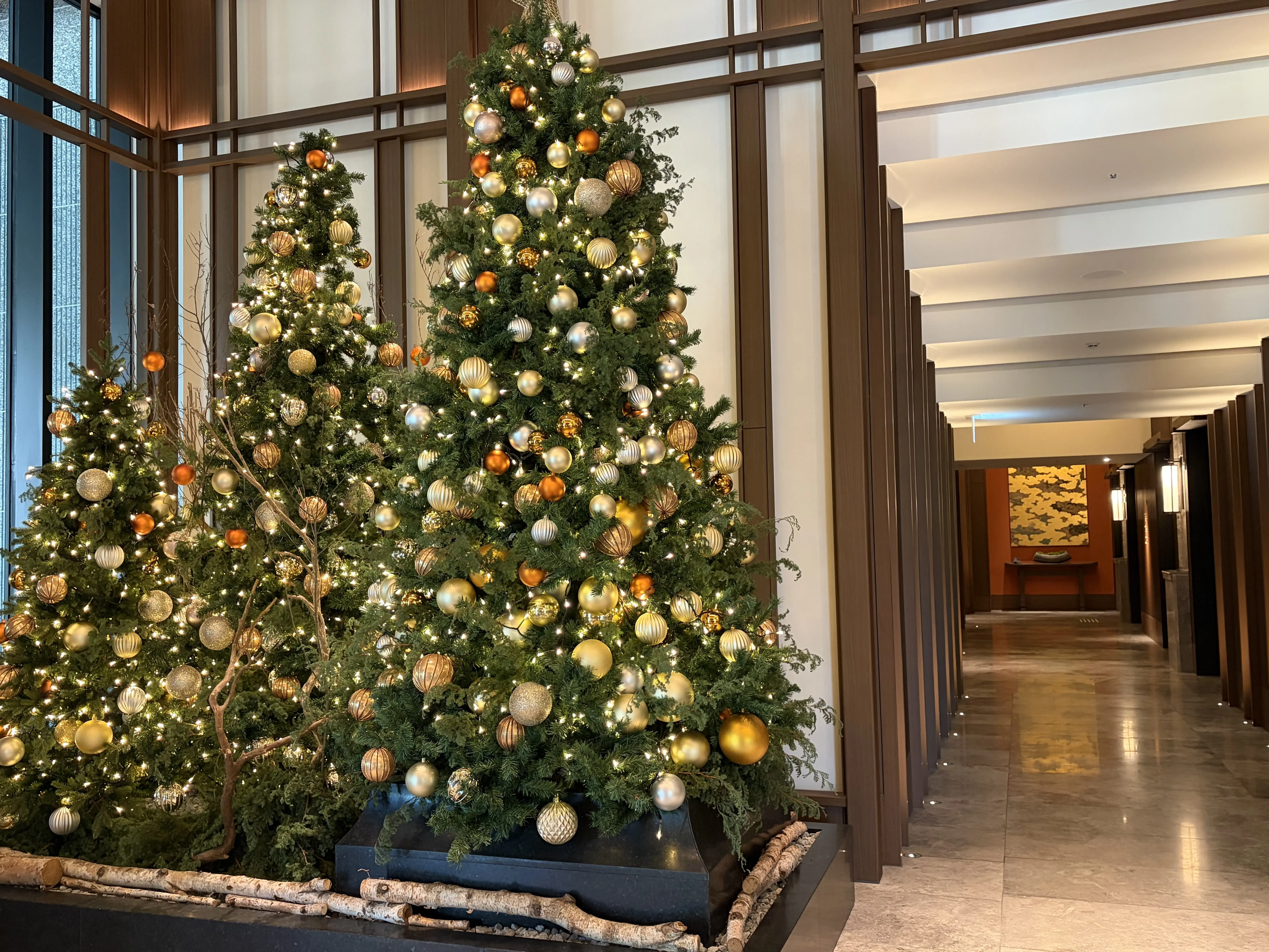 【有馬温泉】母と姉妹の温泉旅　冬編Day２_1_18