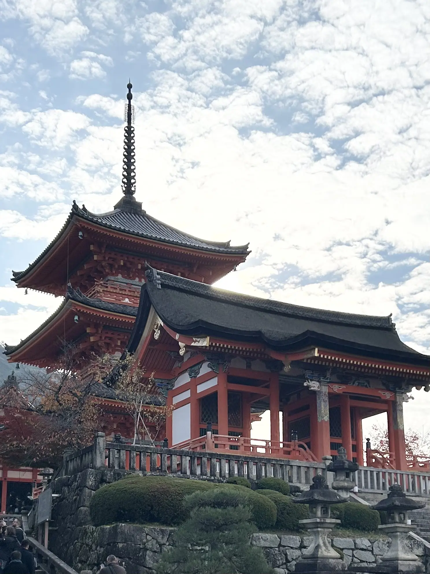 「そうだ京都、行こう。」🍂✨_1_3