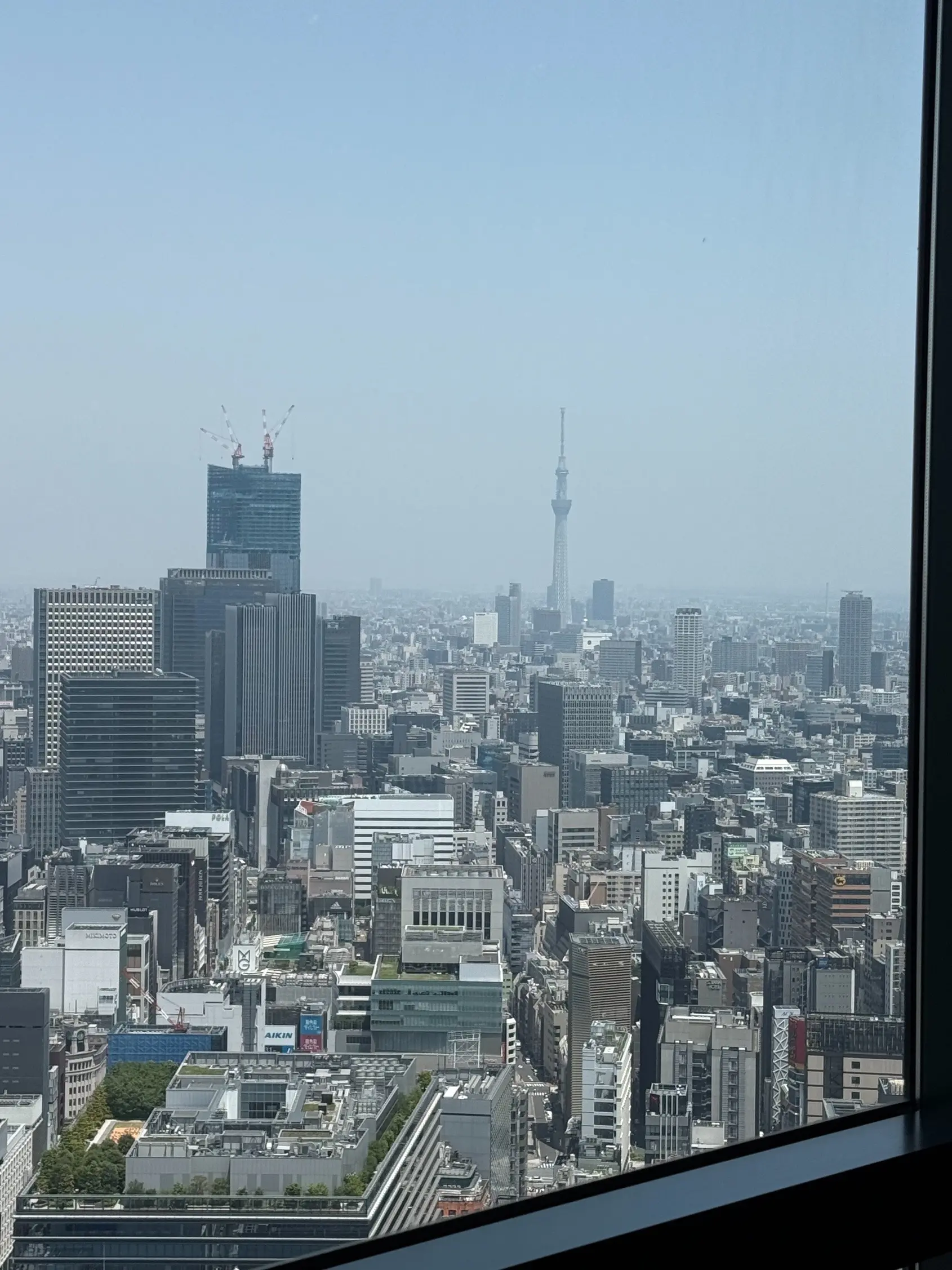 Prime42 steakhouse &amp; sky bar店内からの眺め、スカイツリー
