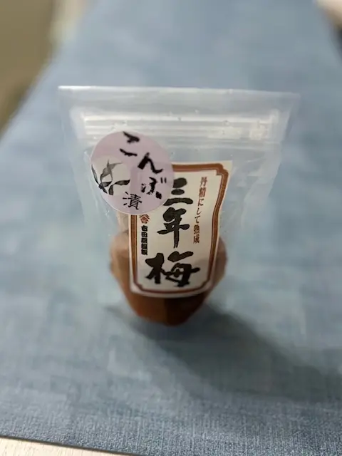 茨城でおいしい海鮮の朝ごはん＆梅スイーツ♪_1_9