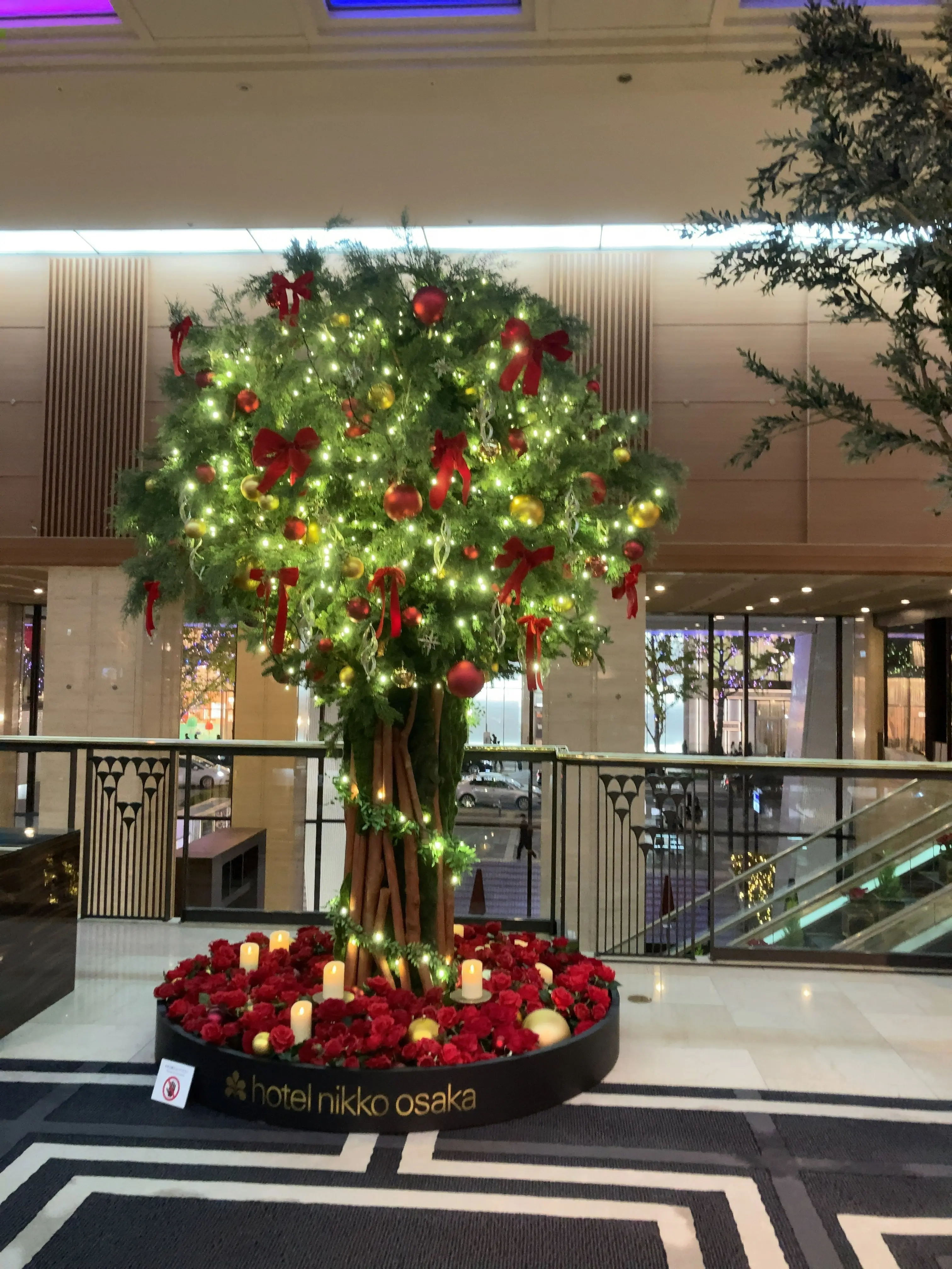 【ホテル日航大阪】　家族で鉄板焼きディナー　幸せ時間_1_12
