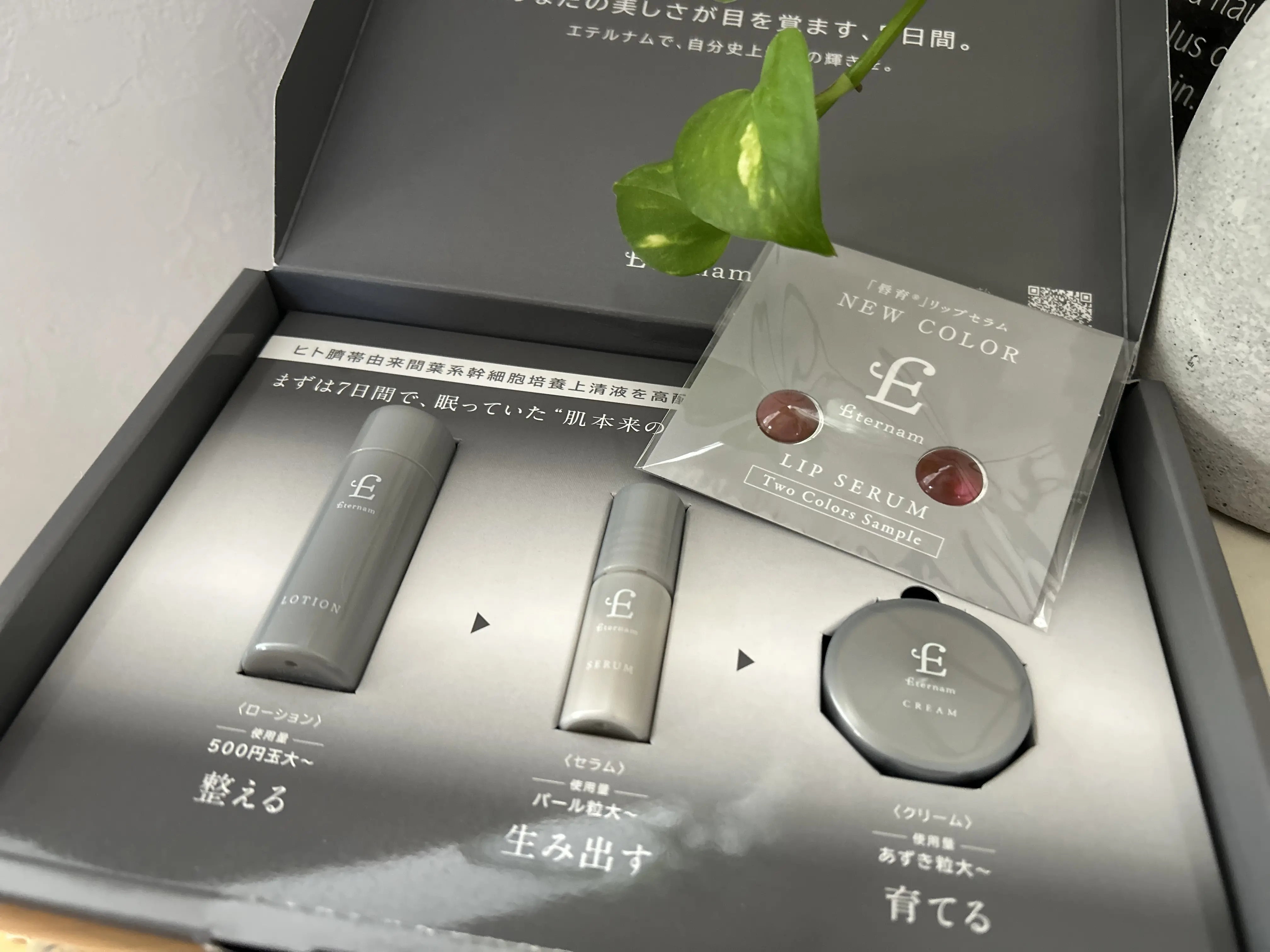 第2回ソワレ･ドゥ•エクラへ♪_1_33