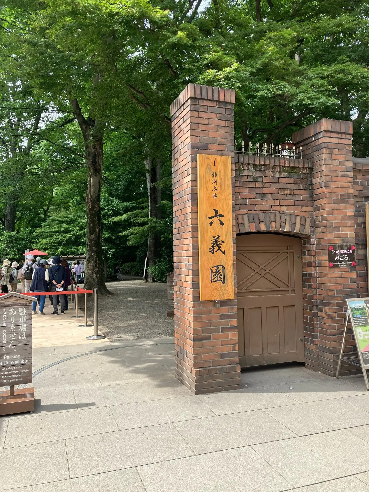 あじさい　紫陽花　　　　和のあじさい　六義園　ガクアジサイ　山紫陽花　都路里　　あじさいパフェ　大丸東京　手毬花　