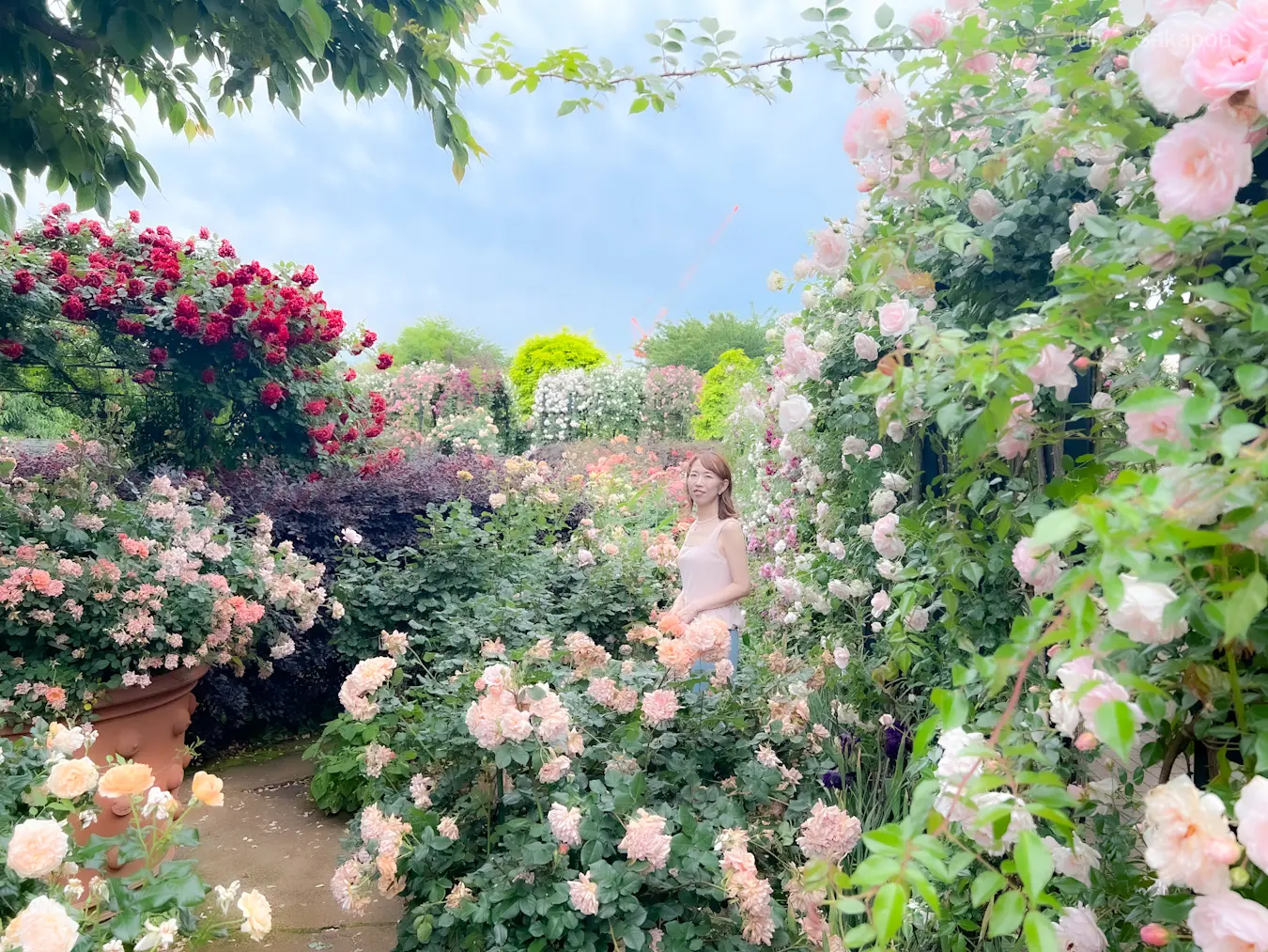 【季節の花ごよみ】君も華になる？✨大人の初夏ファッション🥸💕_1_5
