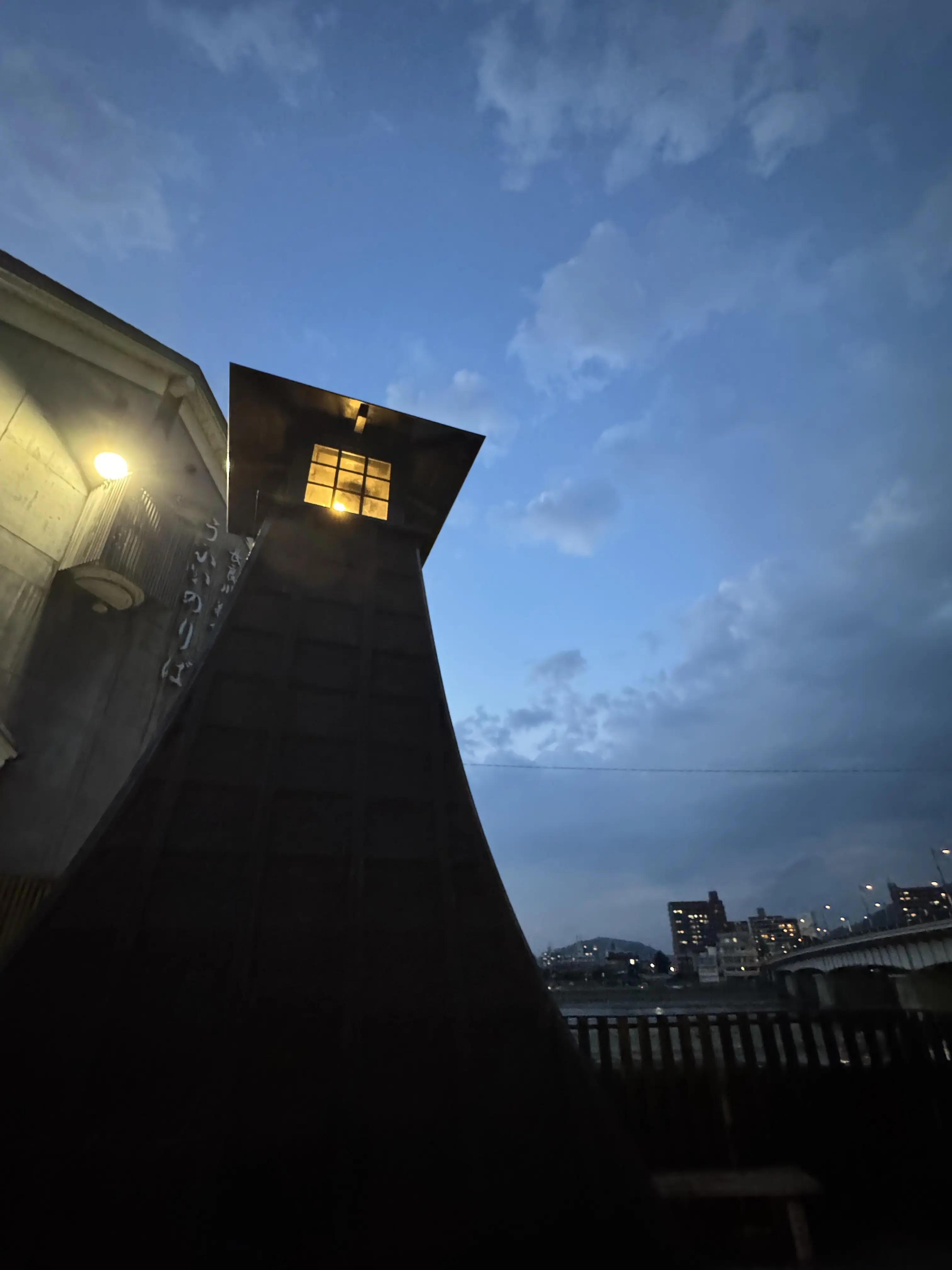 篝火に照らされる幻想的な夜「岐阜・長良川の鵜飼」_1_11
