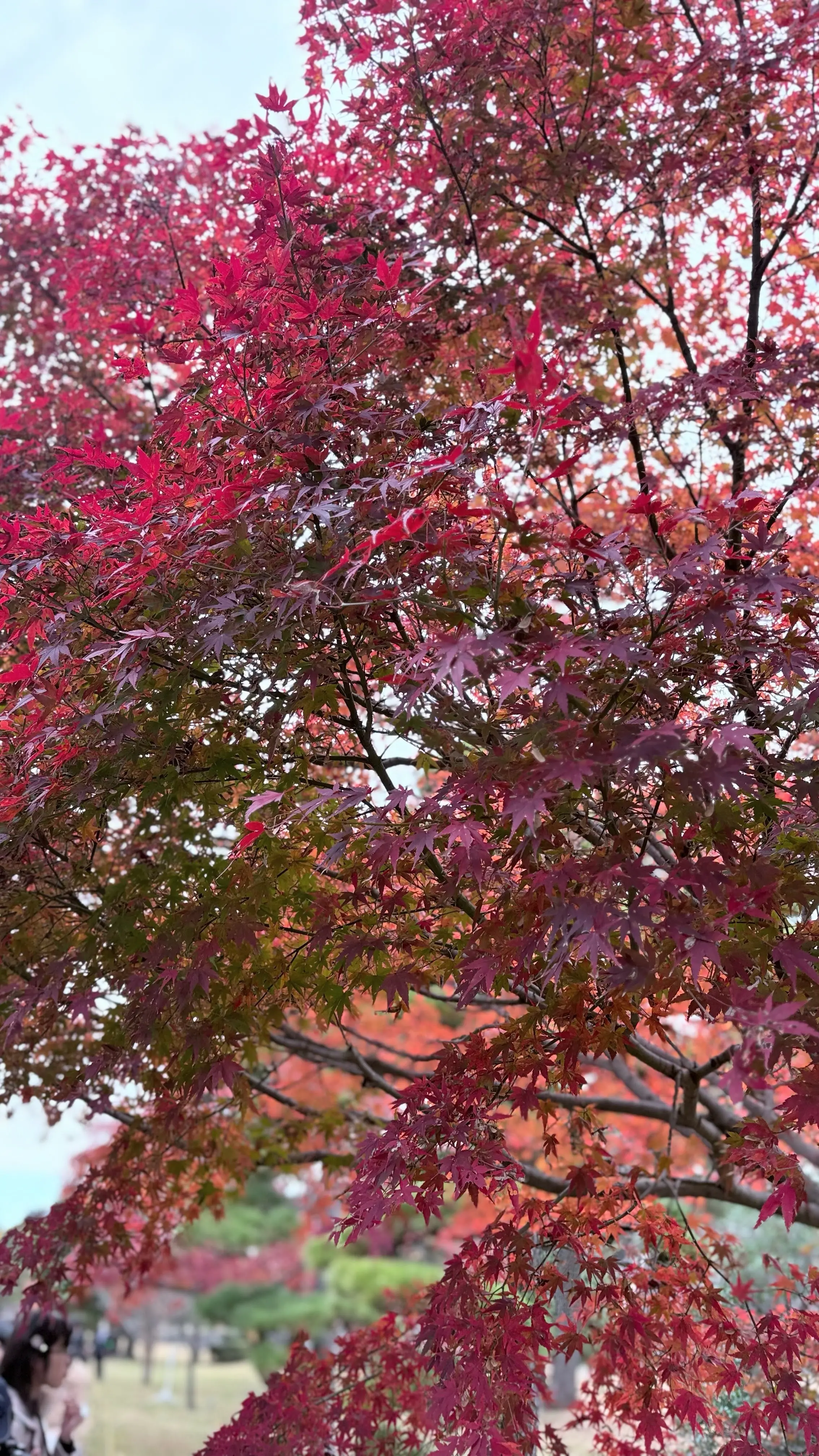 乾通り散策＊GUコーデ_1_3