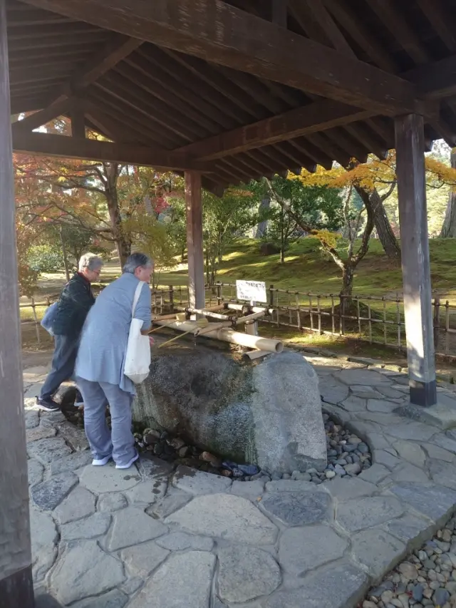 毛越寺の手水舎